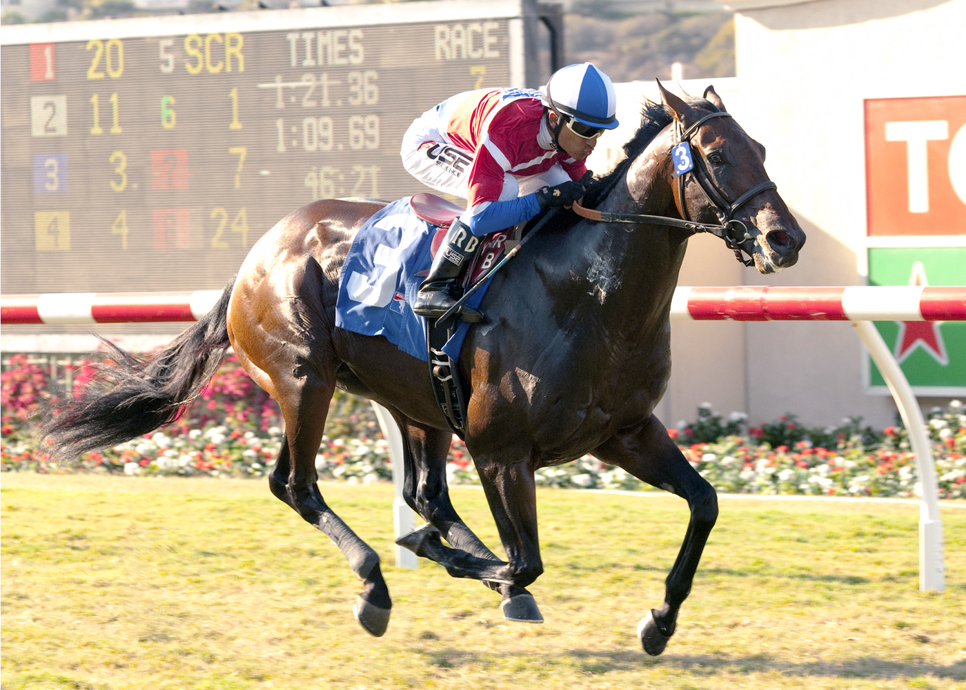 Winning Prize wins an allowance race