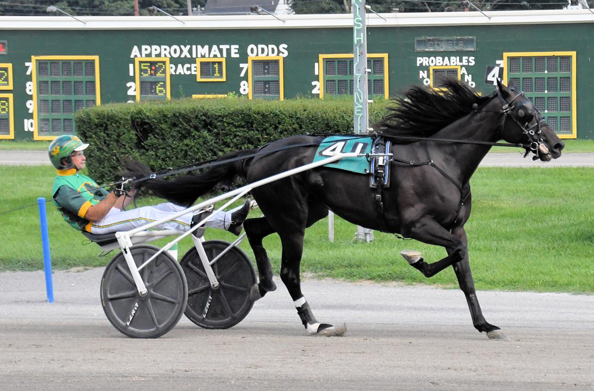winning shadow