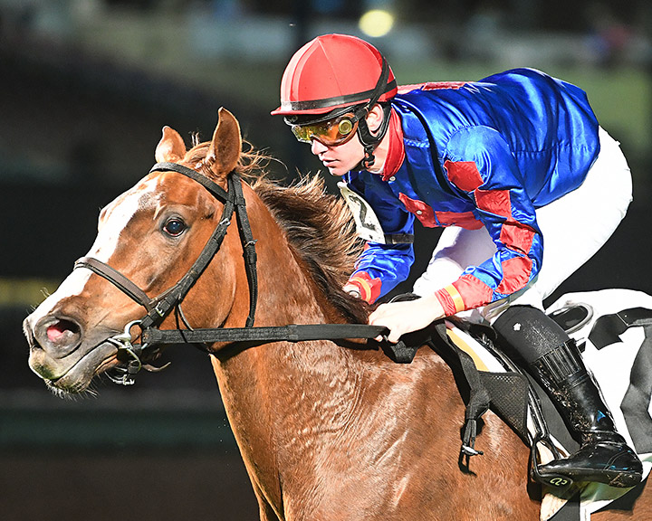 Winning Envelope wins the 2020 Jersey Lilly Turf Stakes at Sam Houston