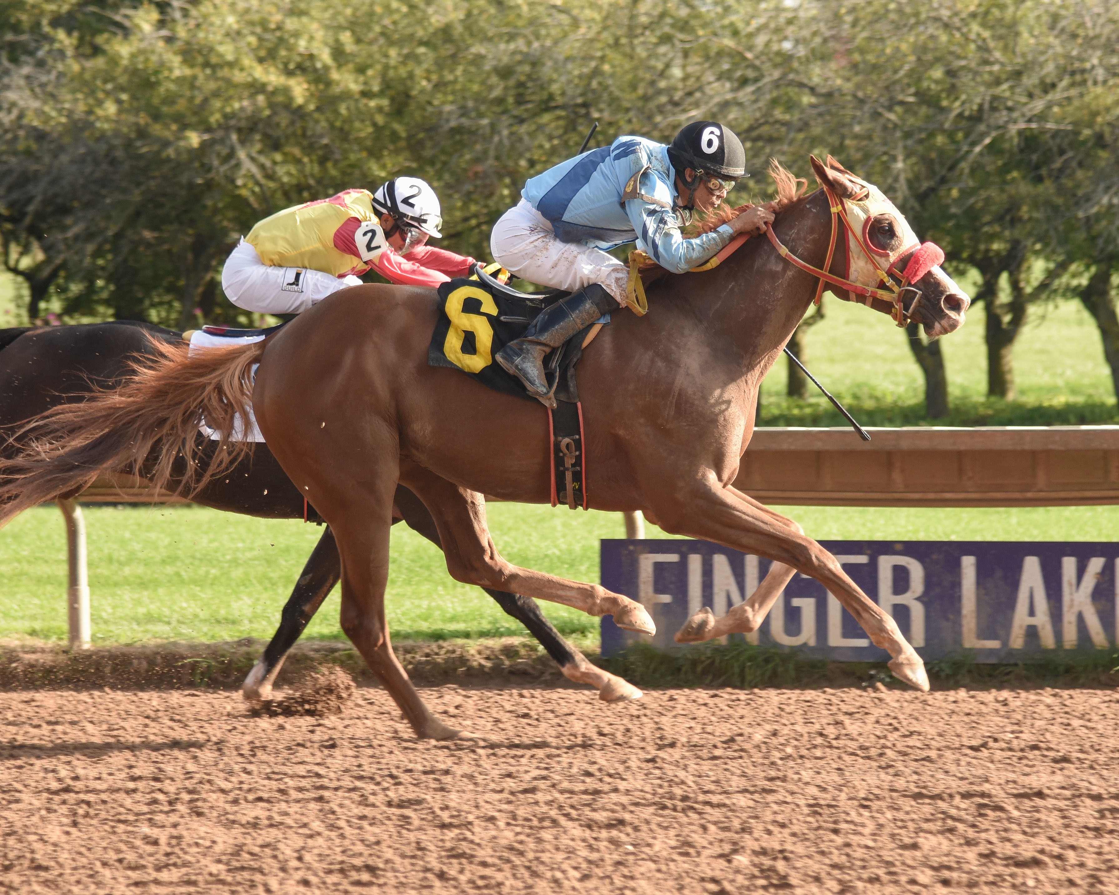 Winston-s Chance wins the 2018 Leon Reed Memorial