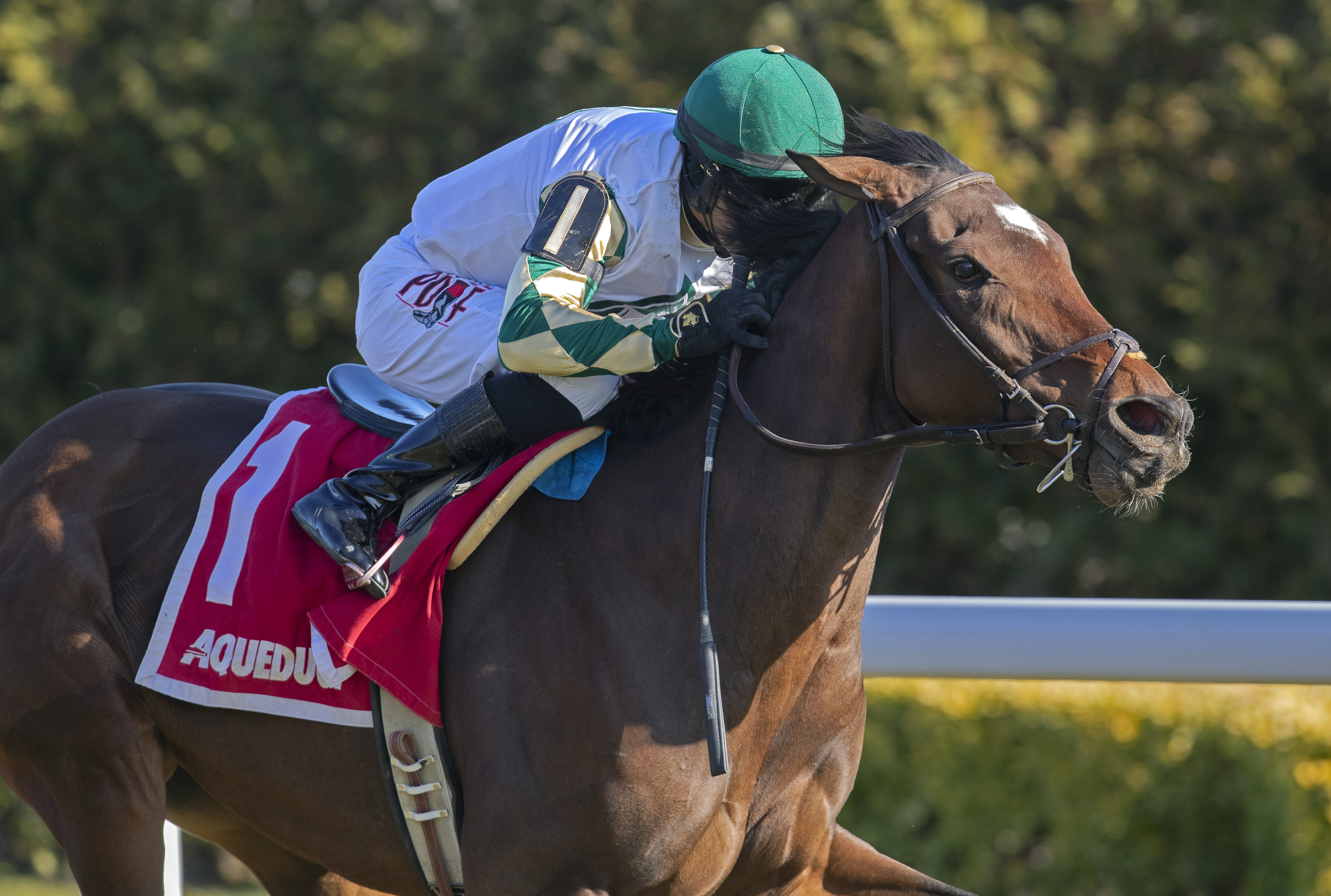 Feel Glorious wins the 2019 Winter Memories Stakes