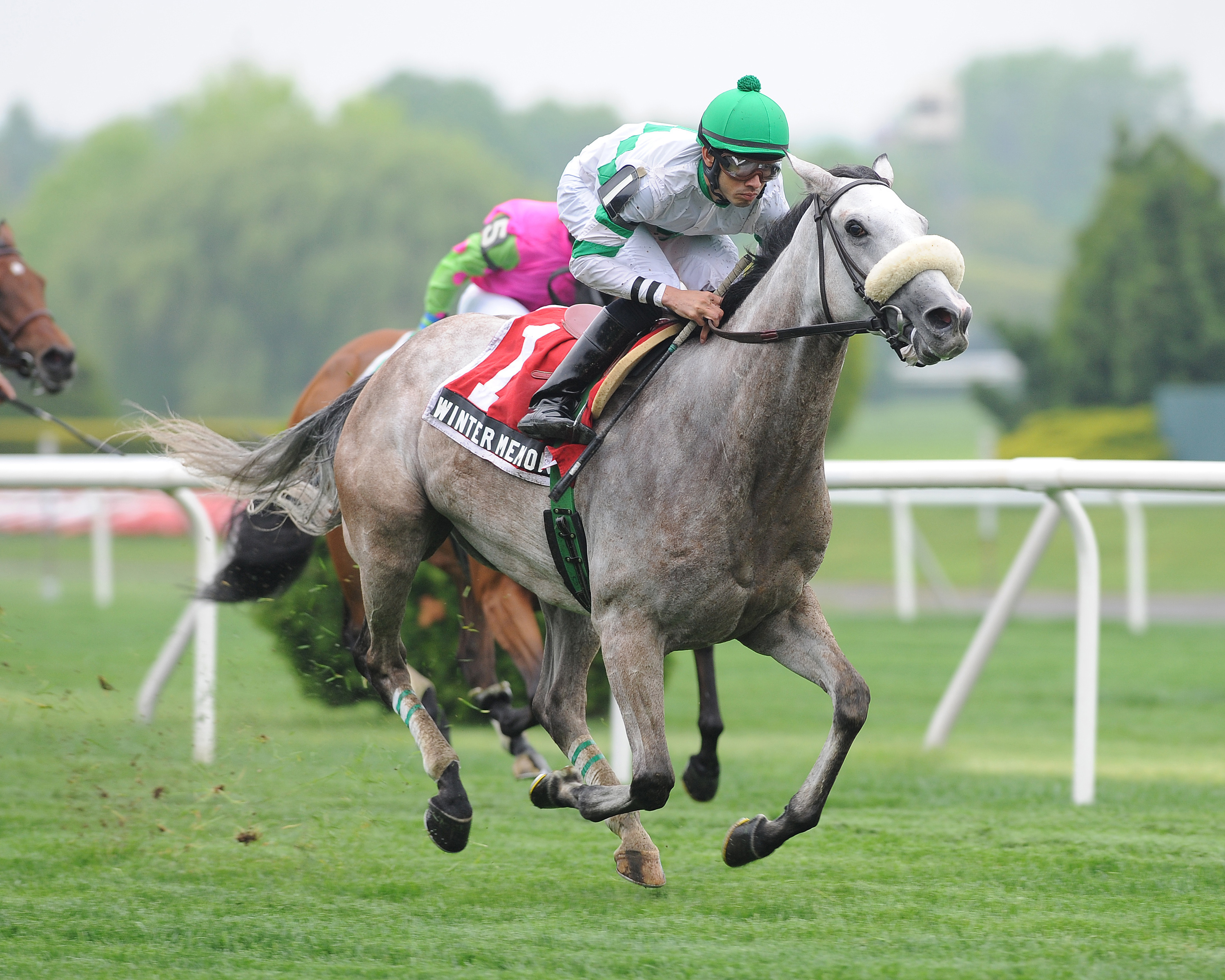 Winter Memories/Beaugay Stakes