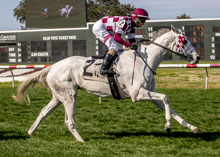 Winter Sunset wins the 2019 Shantel Lanerie Memorial