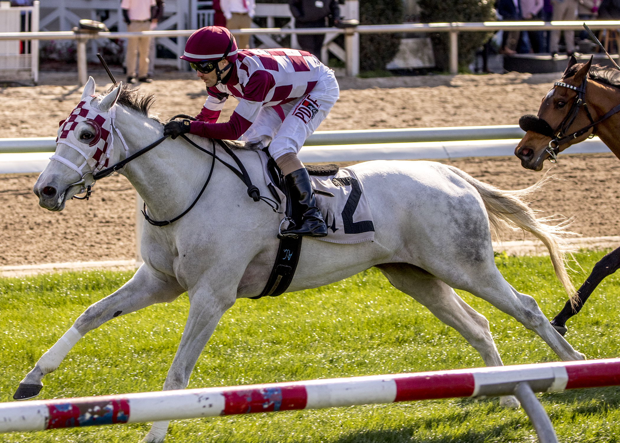 Winter Sunset wins 2019 Shantel Lanerie Stakes