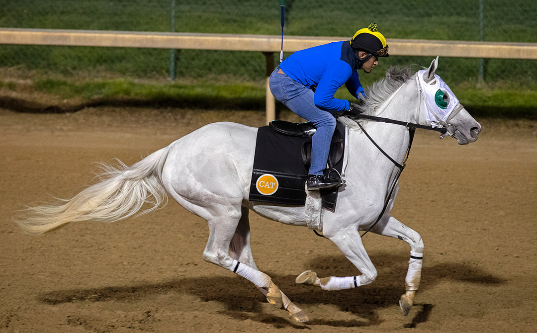 Winter Sunset trains at Churchill Downs on April 29