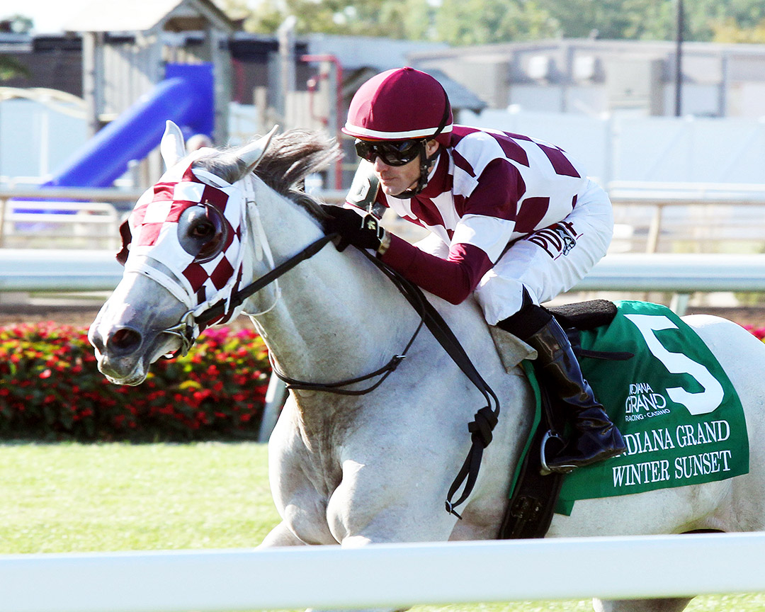 Winter Sunset wins the 2019 Indiana Grand Stakes at Indiana Grand
