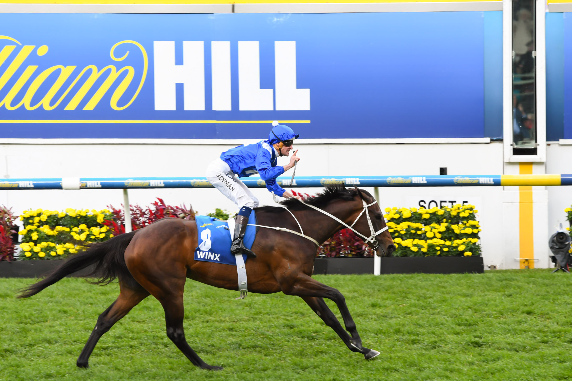 Winx wins her 13th consecutive race at Moonee Valley