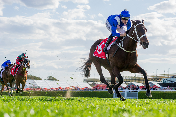 Winx wins the 2018 Optic White Stakes