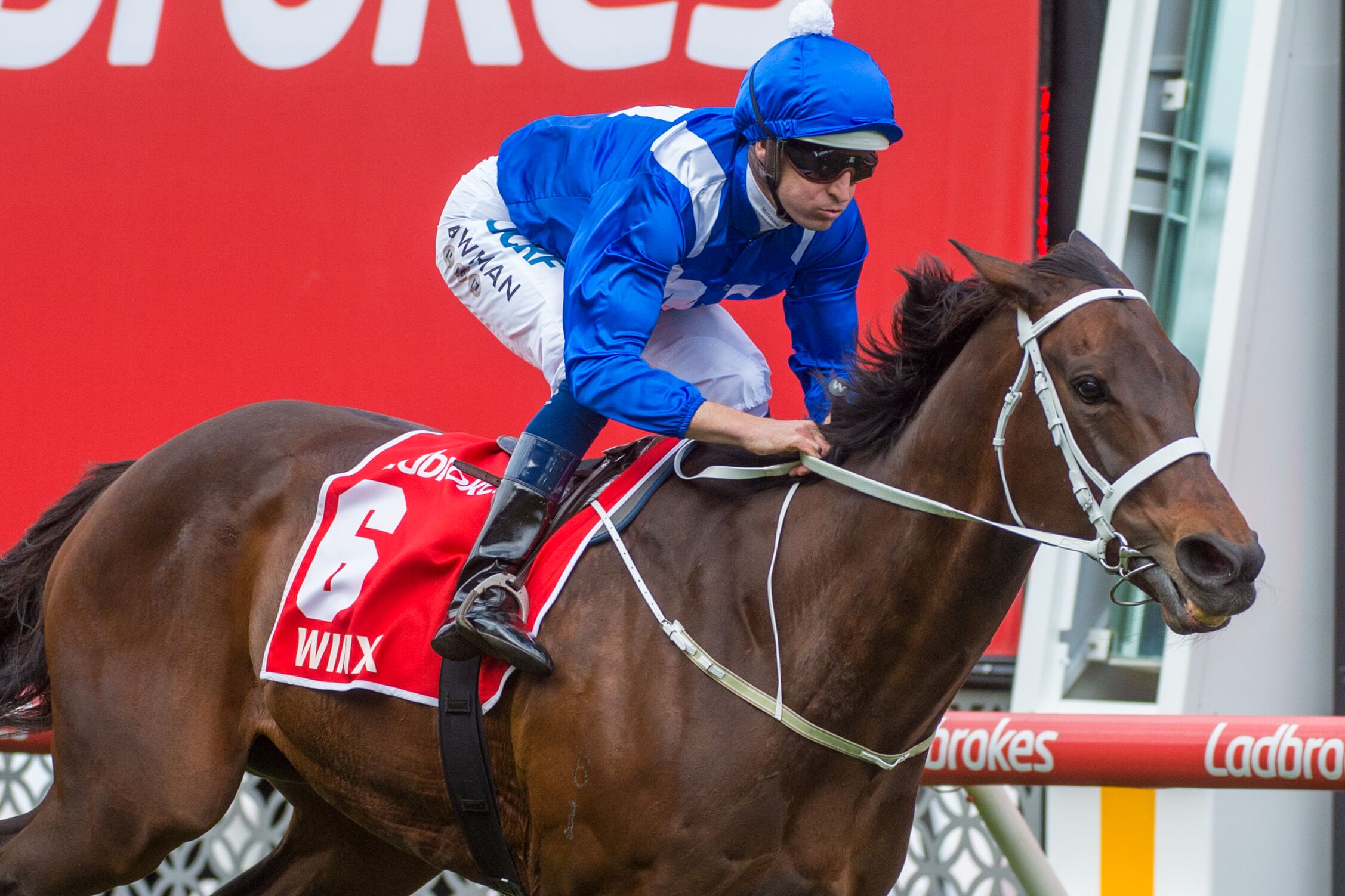 Winx adds to her legend with fourth straight Cox Plate win