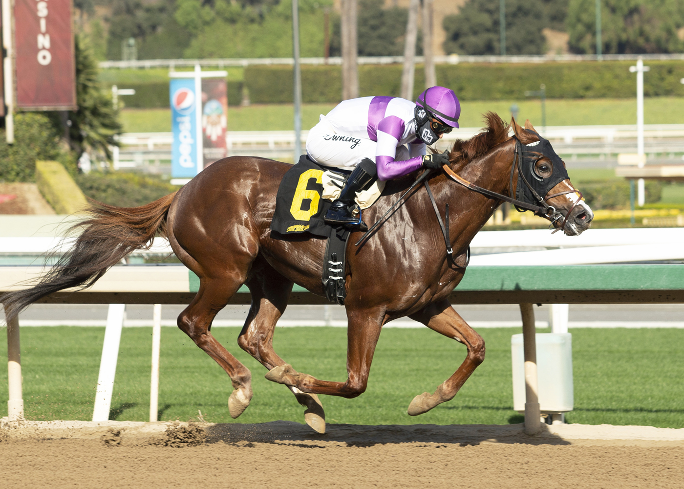 Wipe the Slate wins a Dec. 26 maiden race at Santa Anita