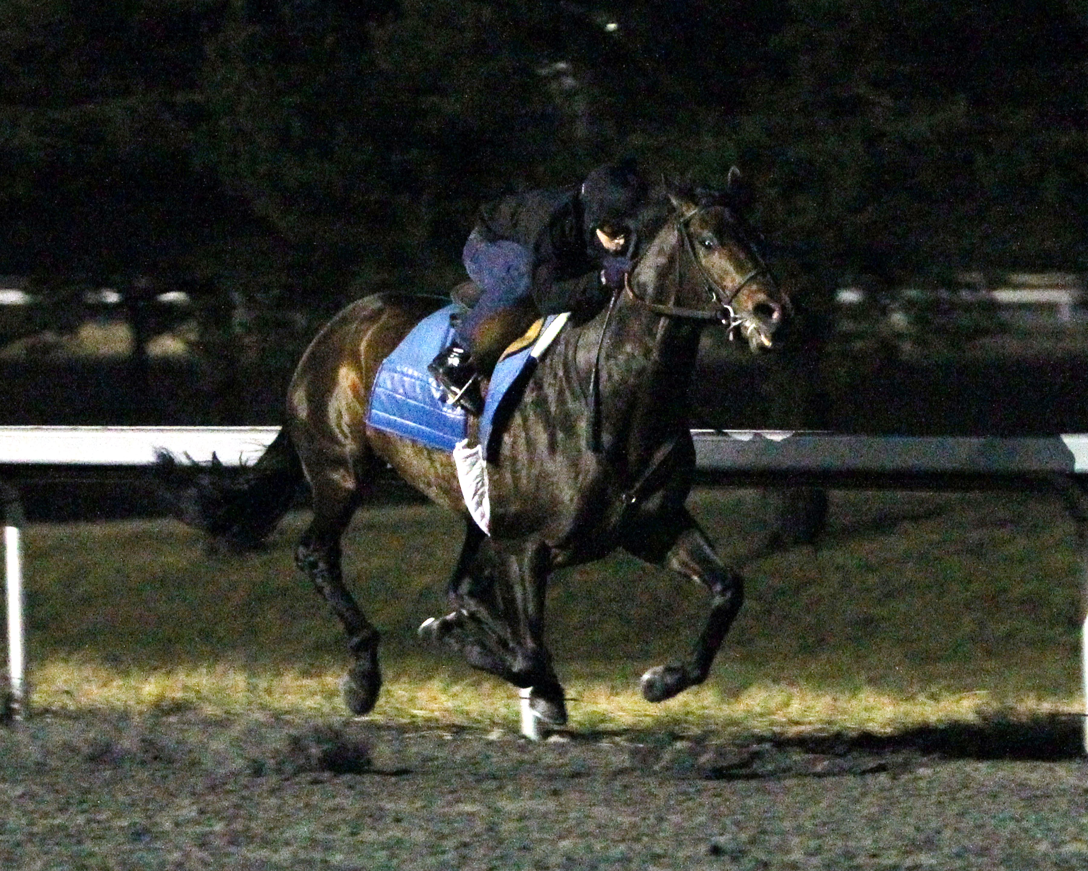 Wireless Future training at Turfway Park