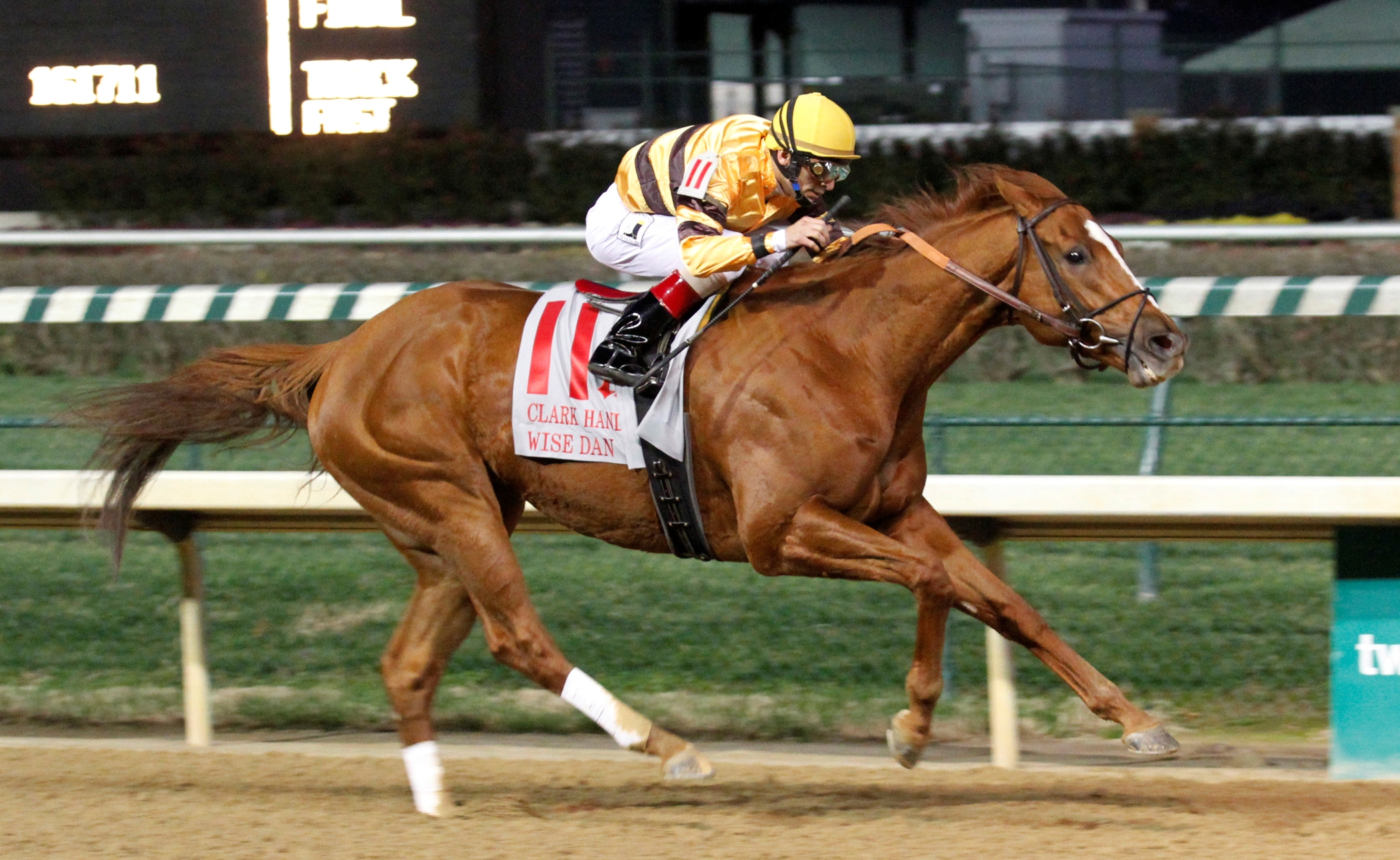 Wise Dan, Clark Handicap