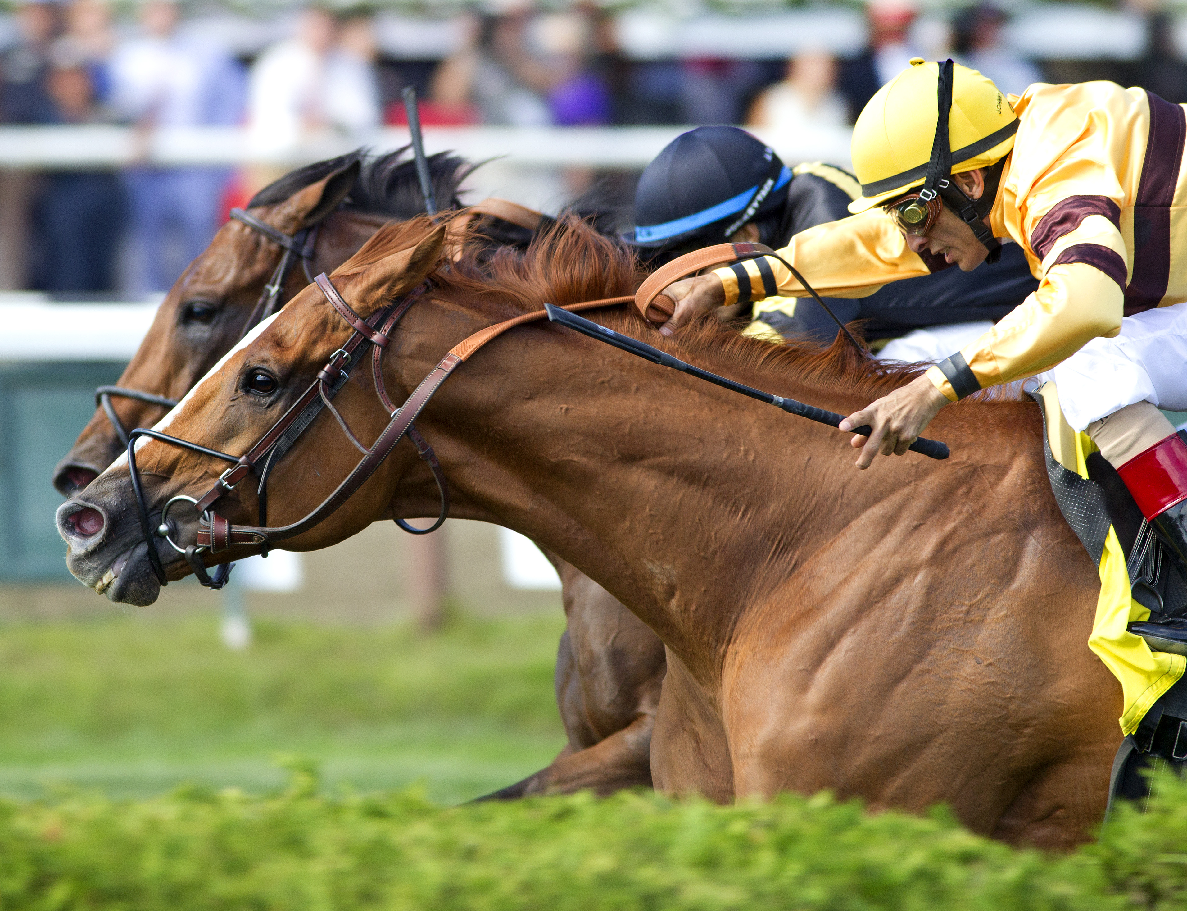 Wise Dan 8-30-2014