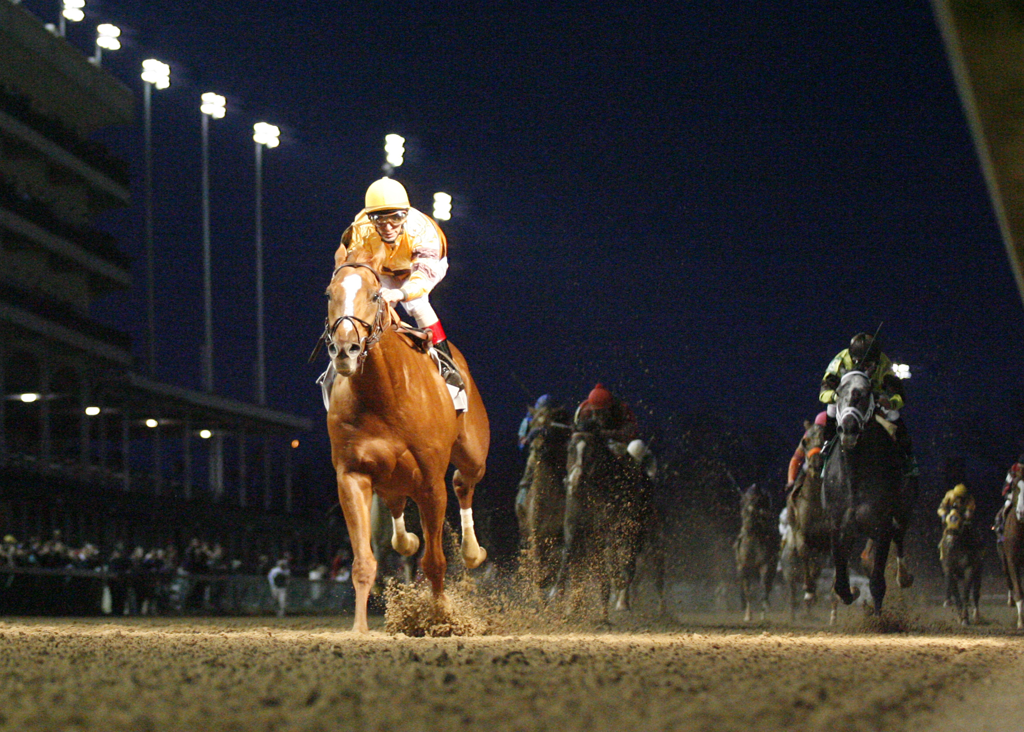 Wise Dan
