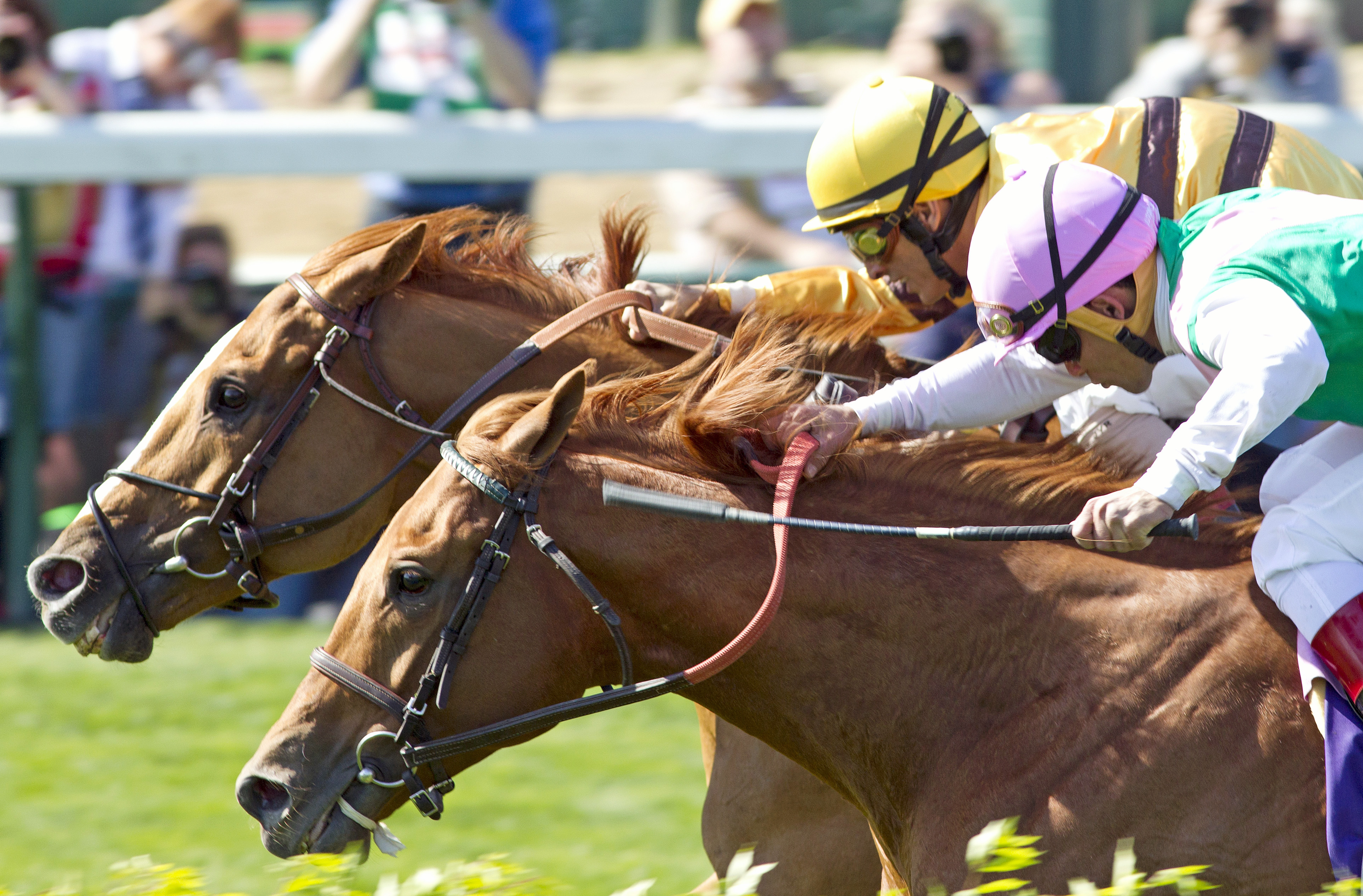 Wise Dan wins the Woodford Reserve Turf Classic