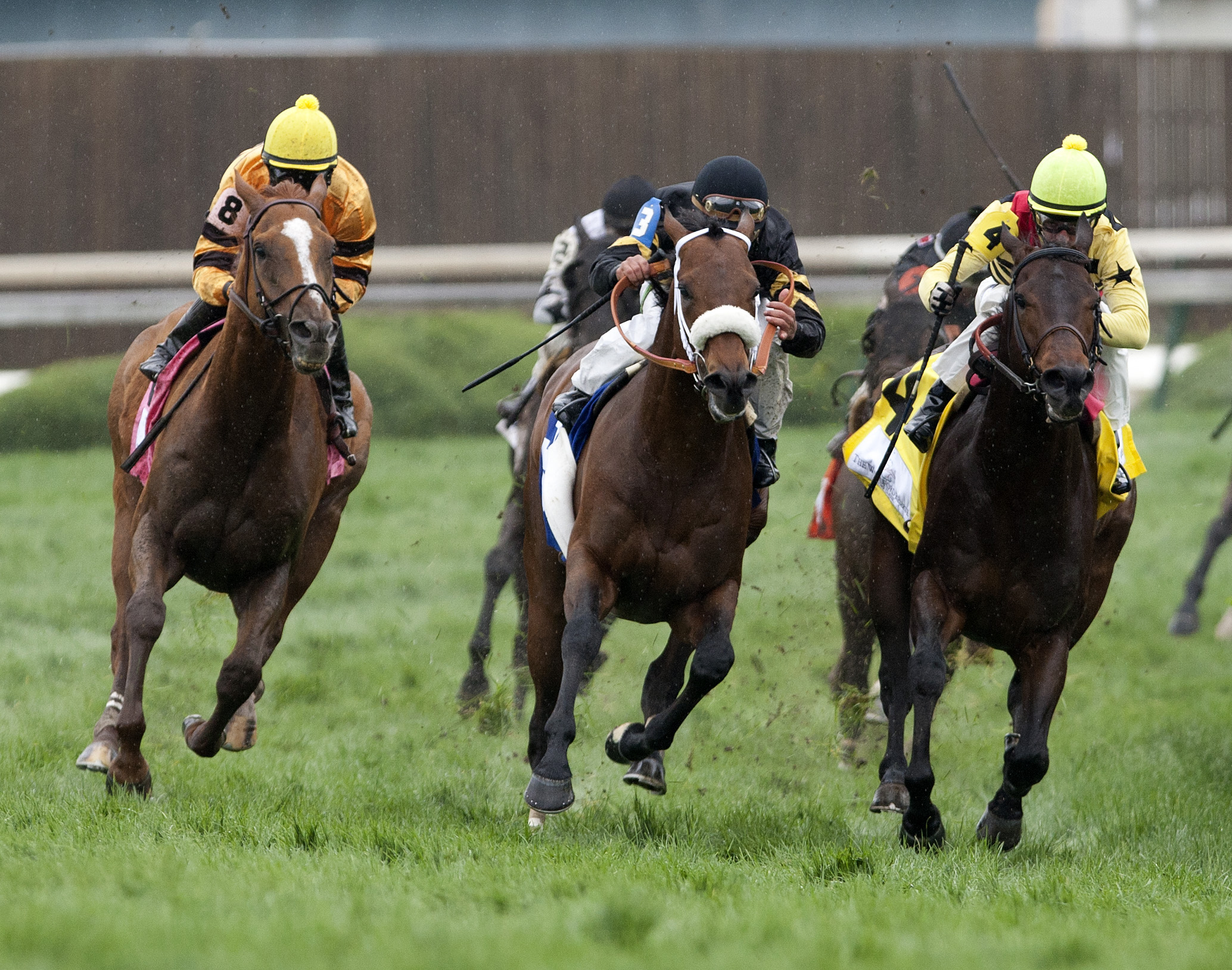 Wise Dan, Woodford Reserve Turf Classic, turn shot