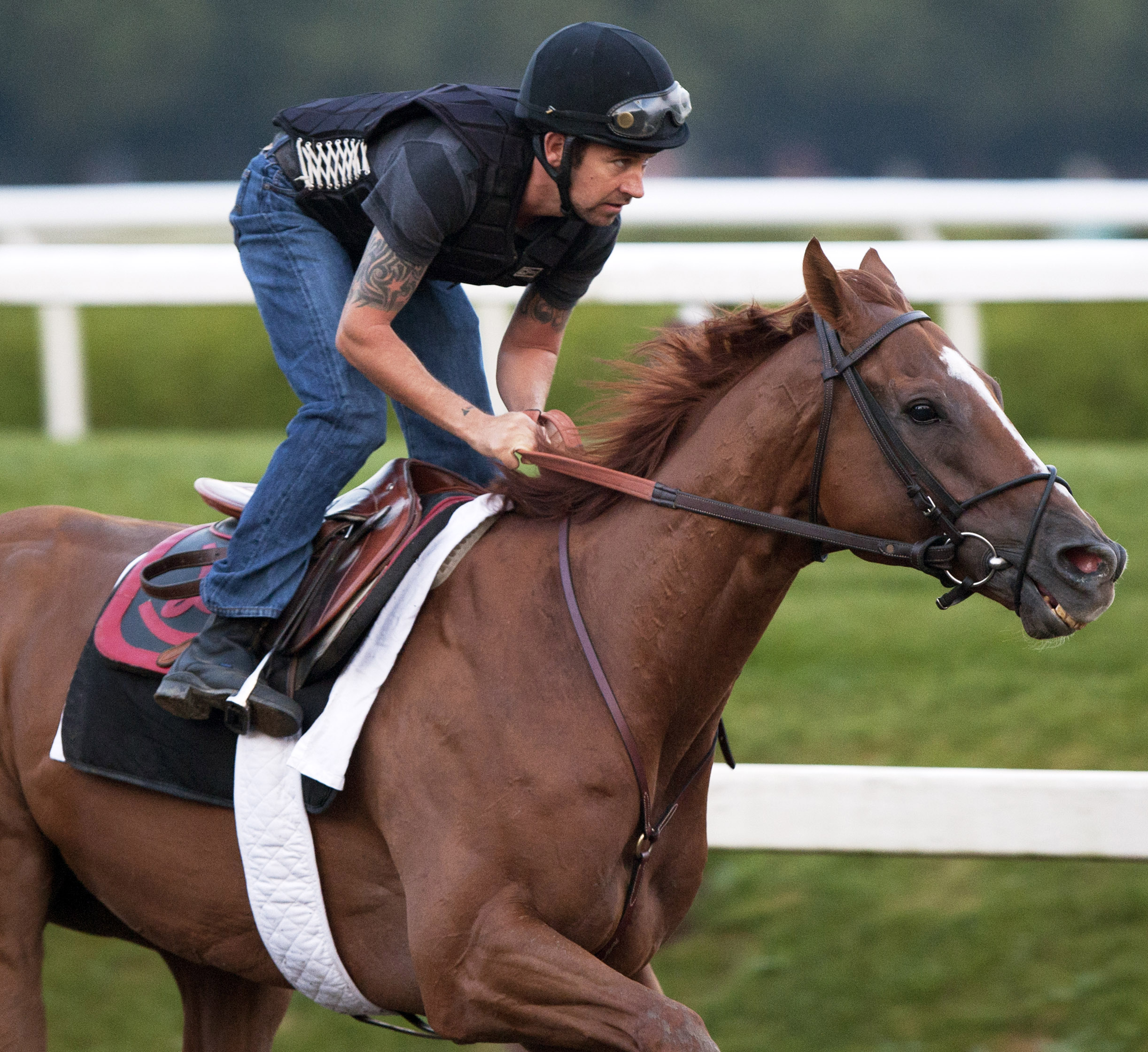 Wise Dan on July 20