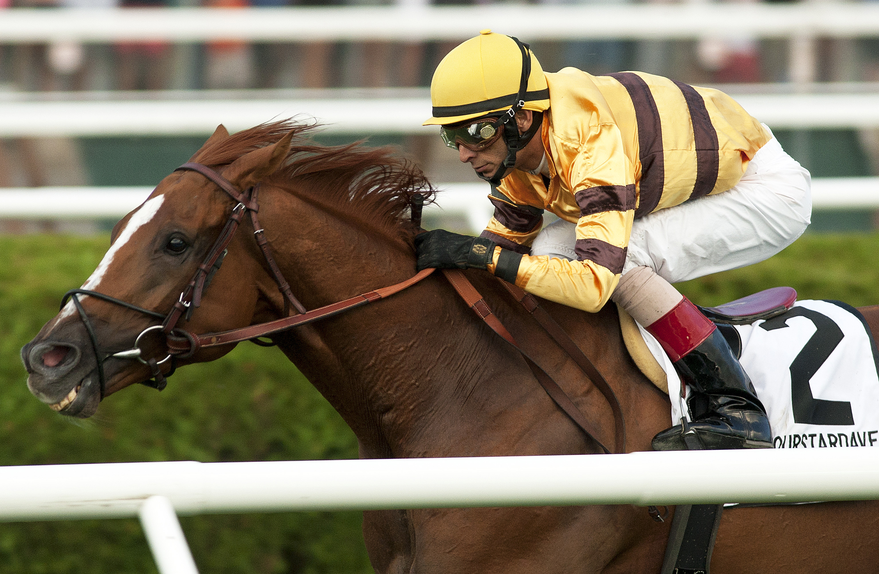 Wise Dan/Fourstardave Stakes