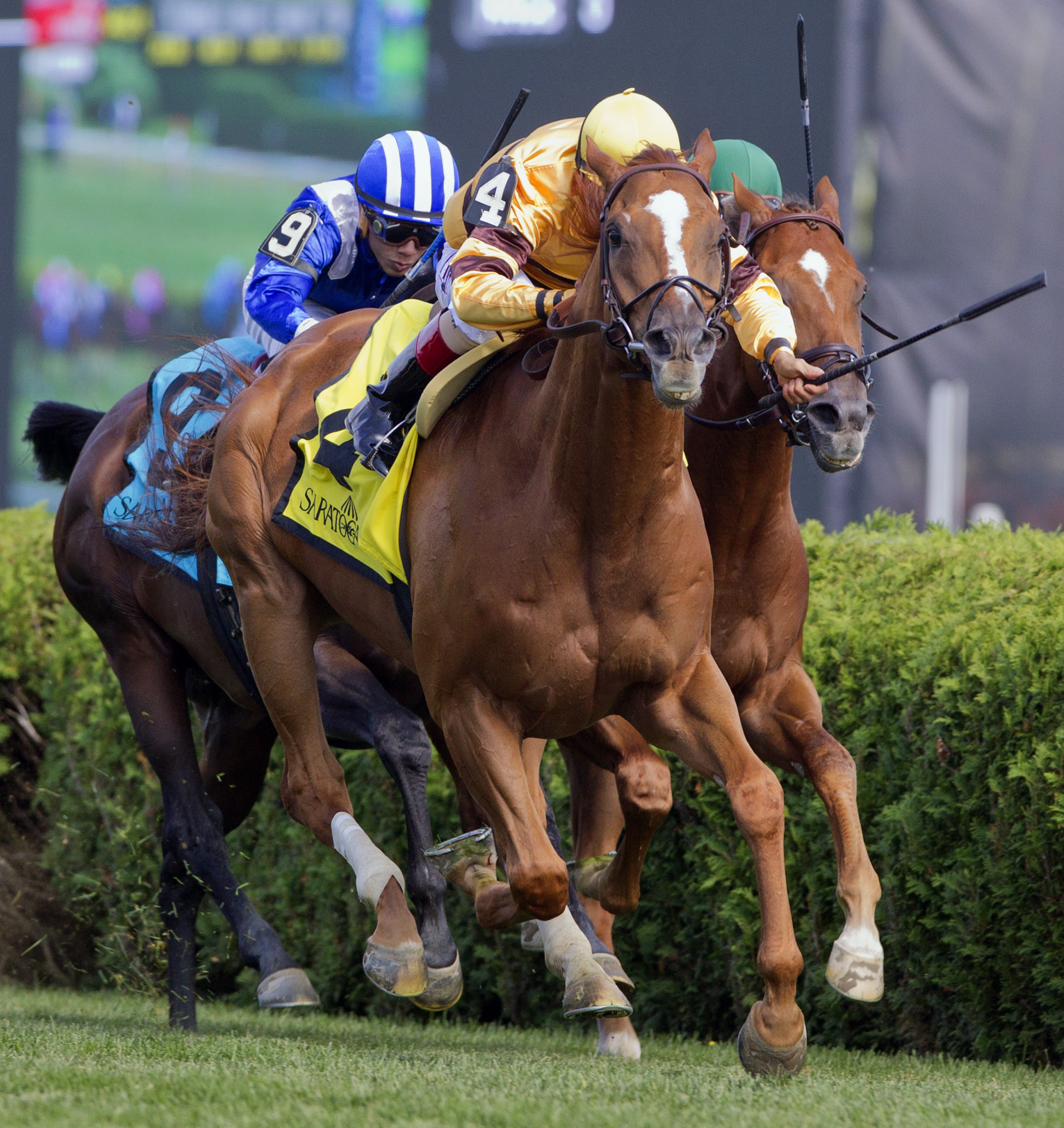 Wise Dan 8-30-14