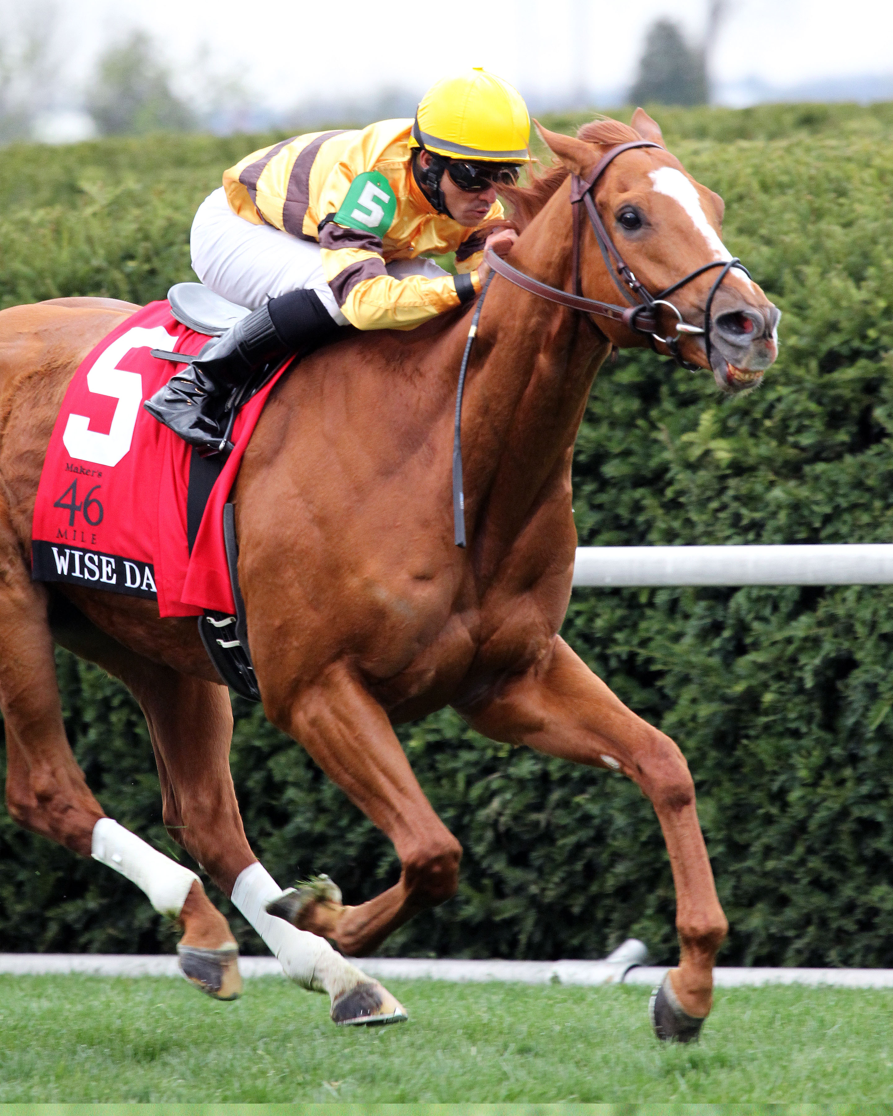 Wise Dan wins Maker's 46