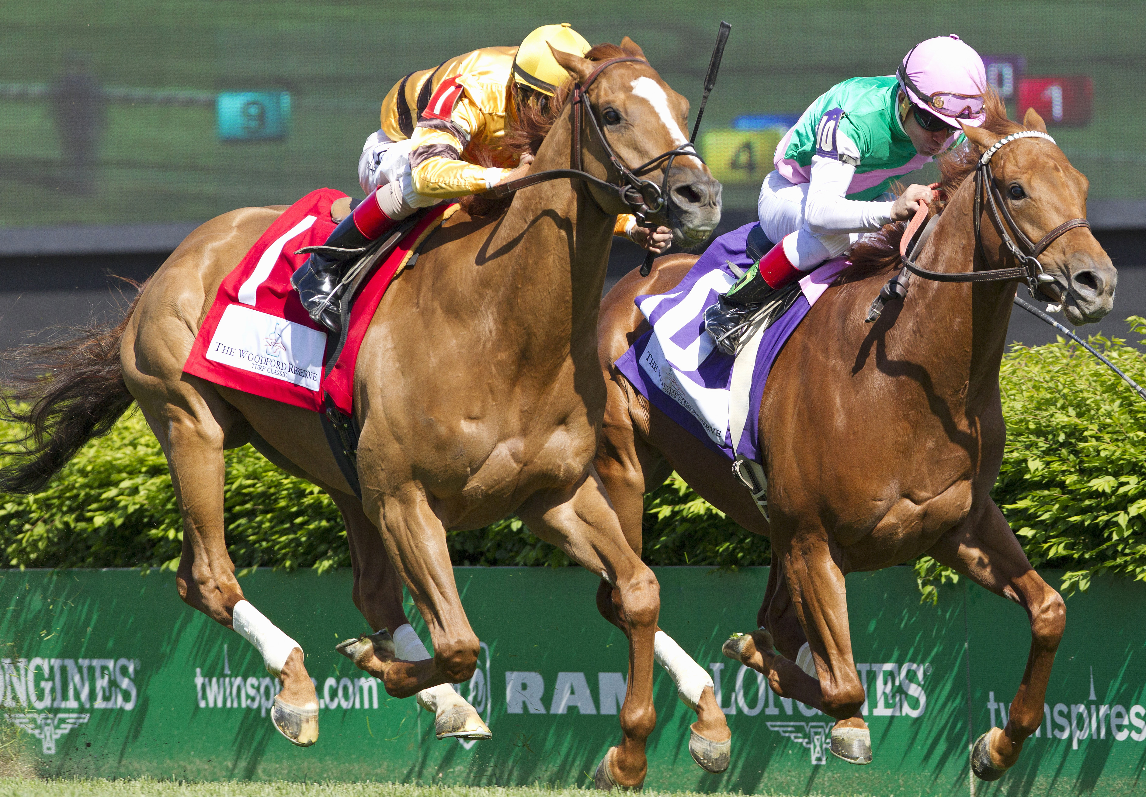 Wise Dan wins the Woodford Reserve Turf Classic
