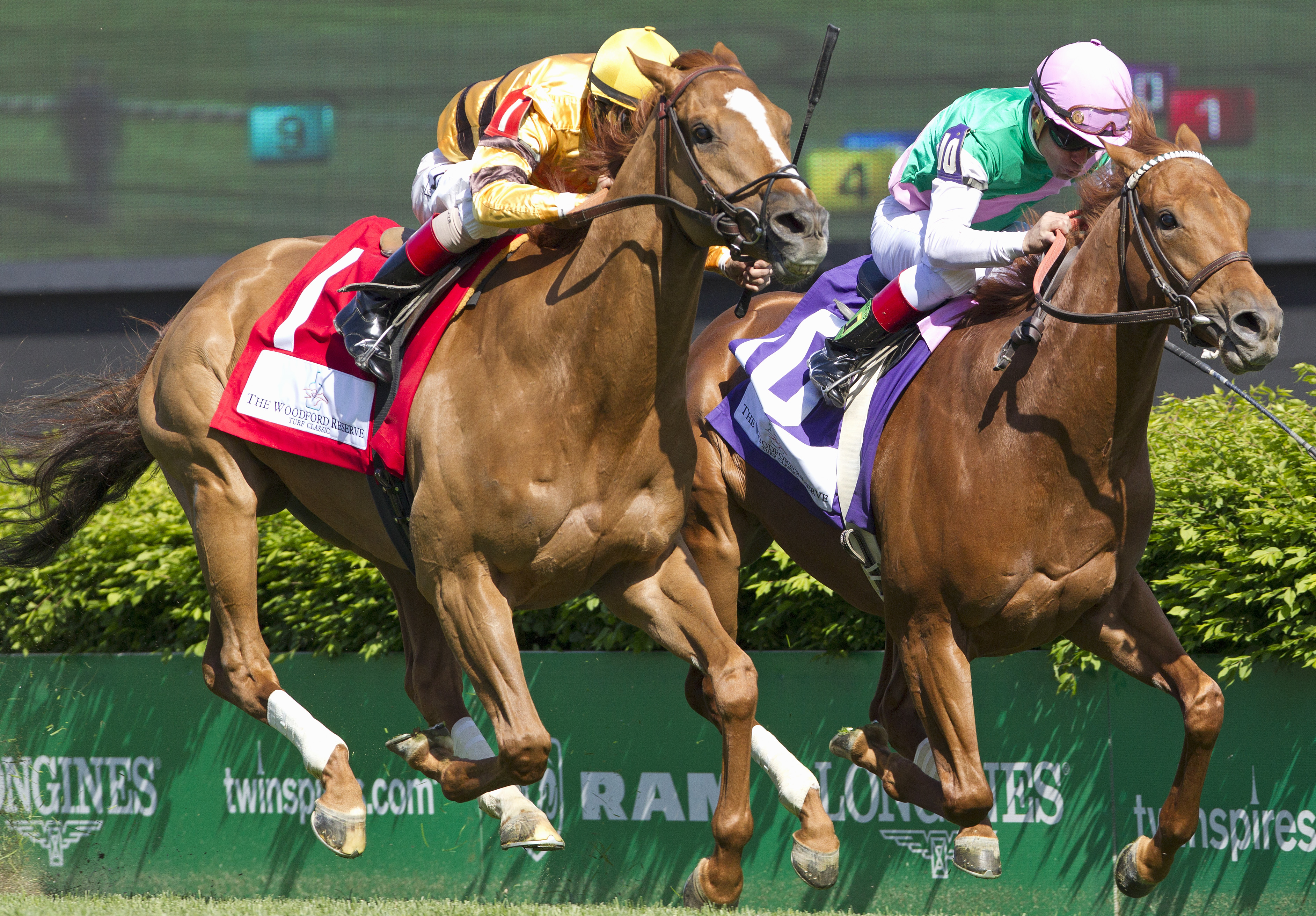 Seek Again and Wise Dan in the Woodford Reserve