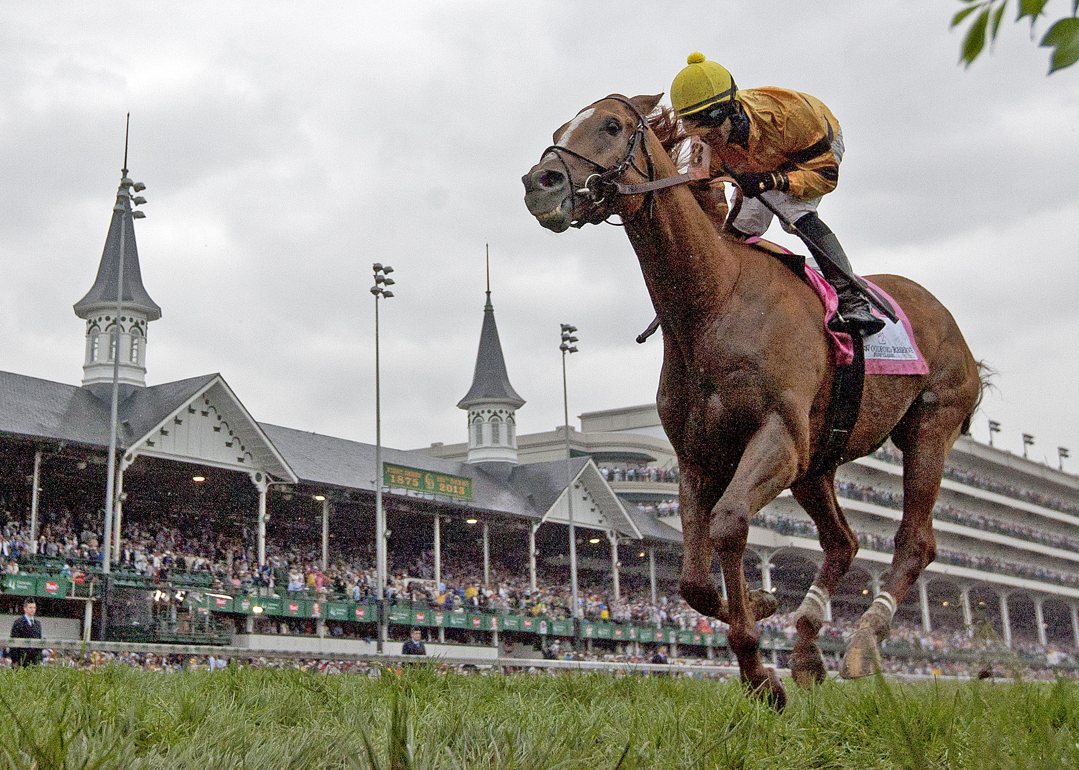 Wise Dan