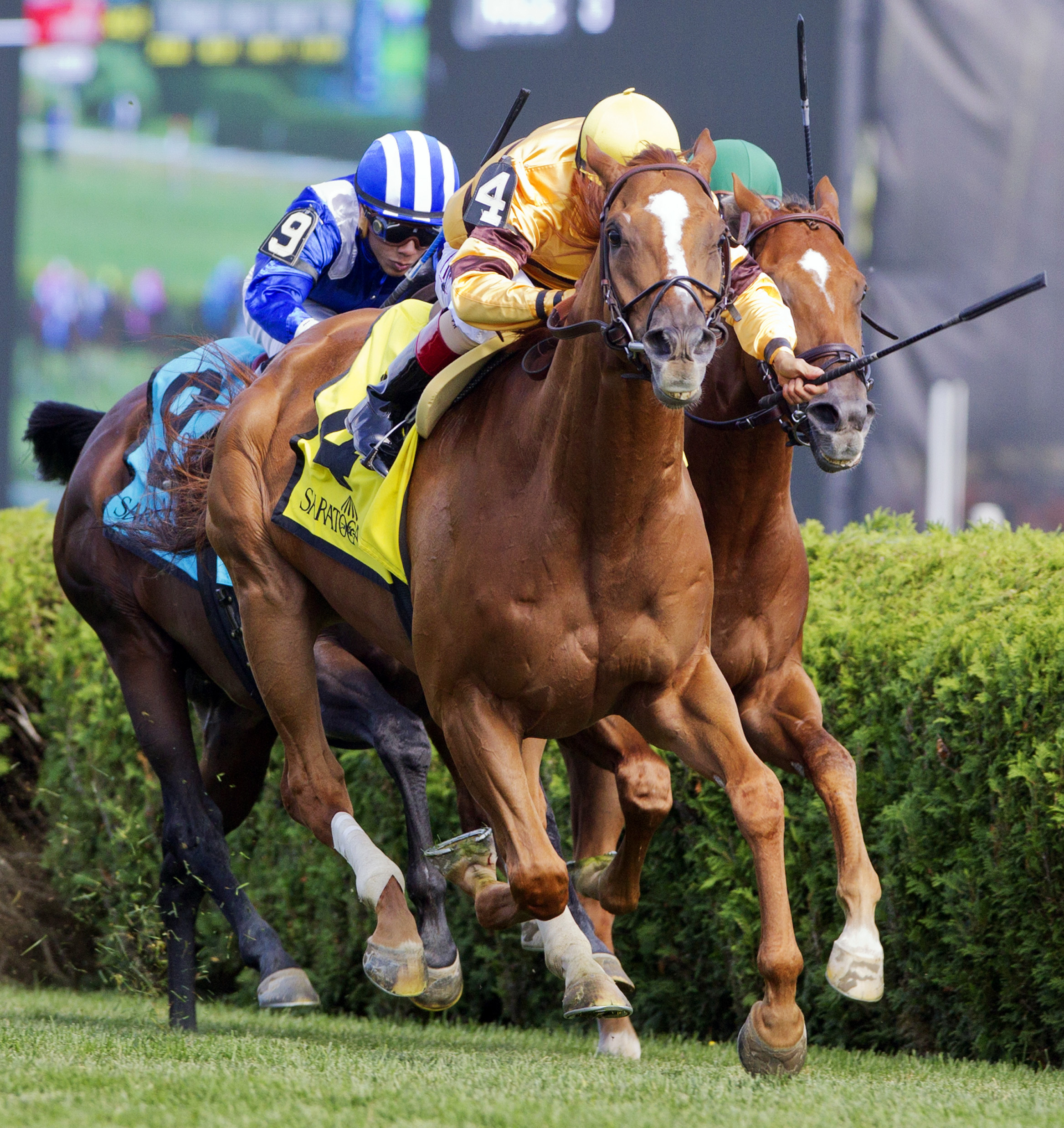Wise Dan wins the Bernard Baruch
