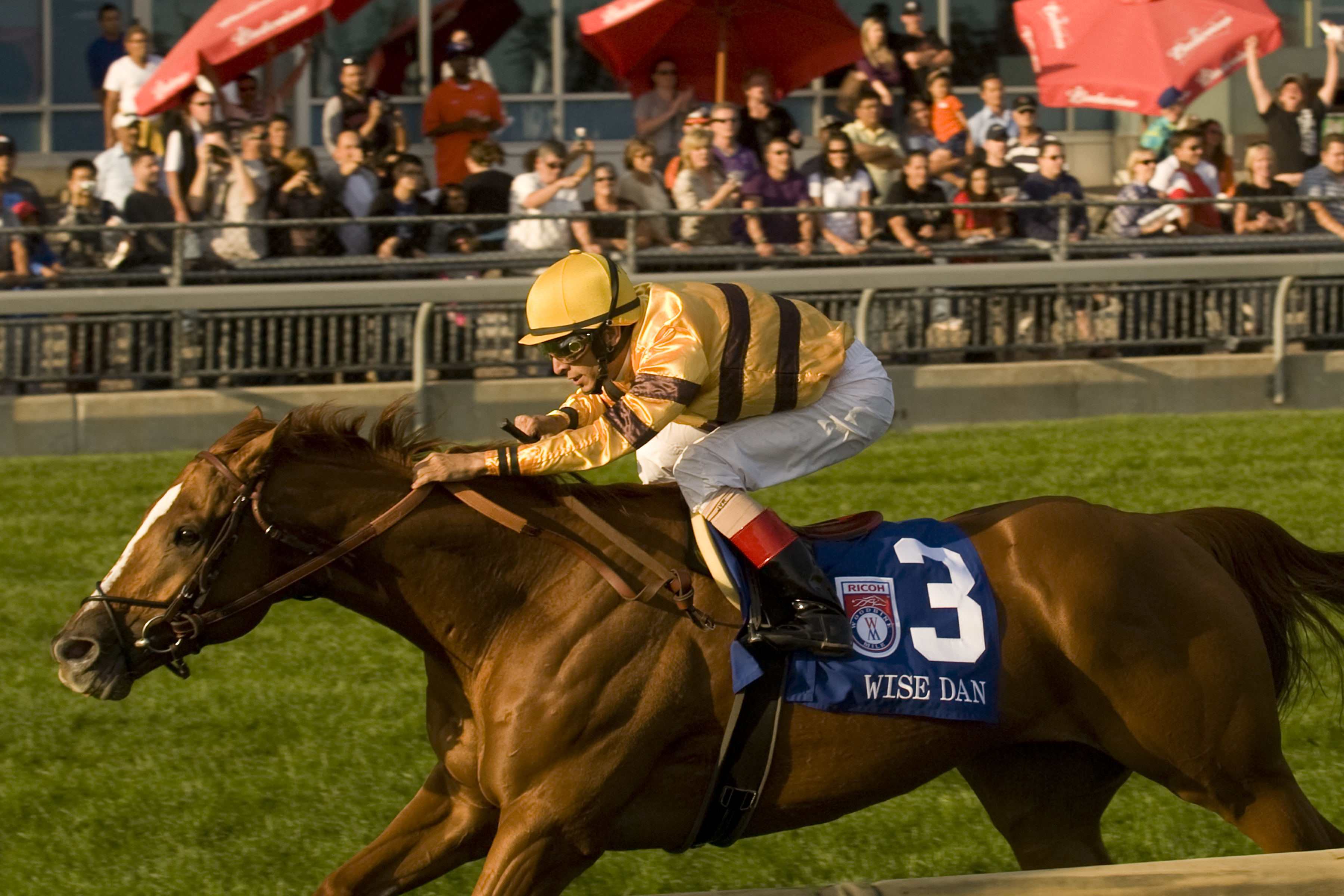 Wise Dan/Woodbine Mile