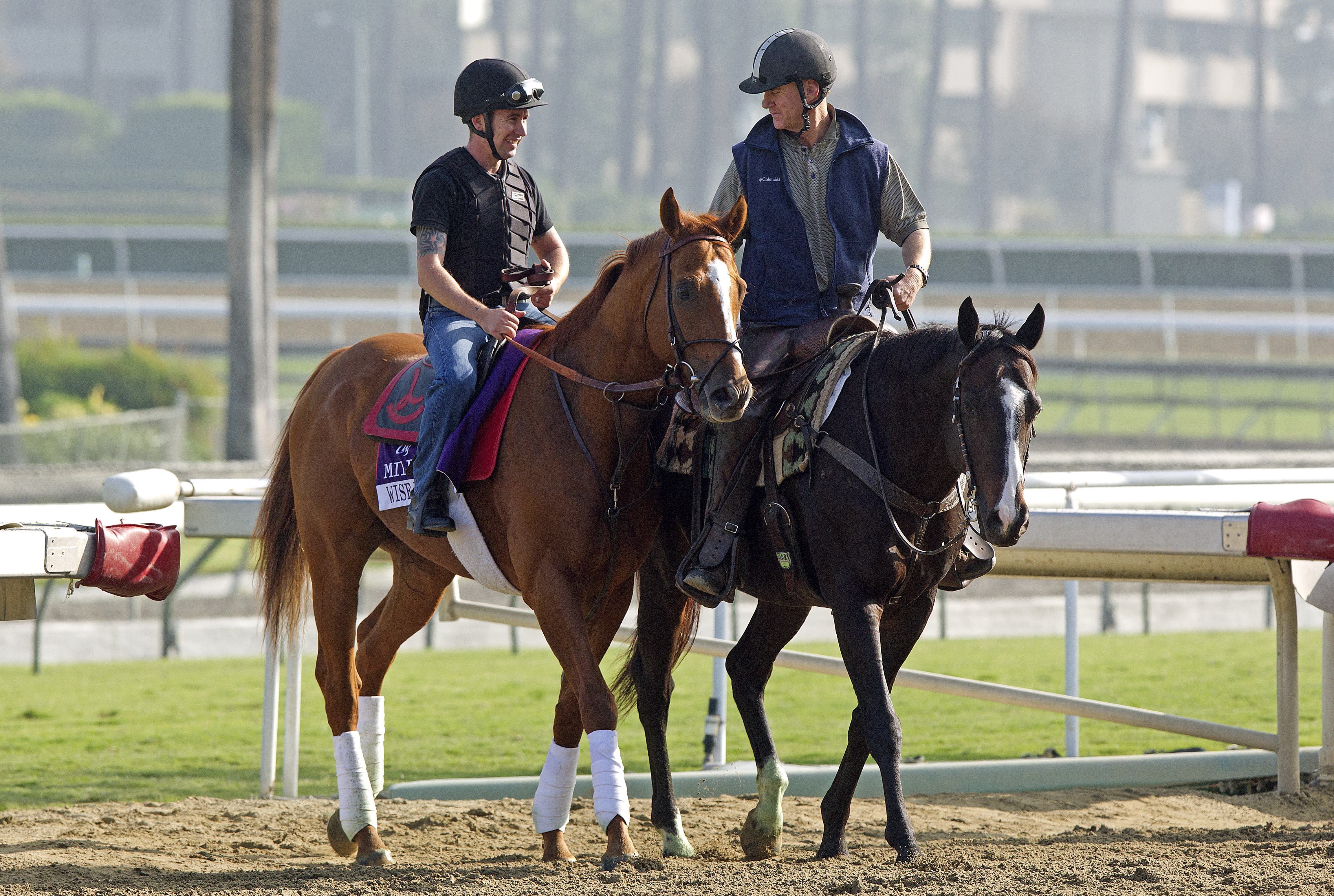 Wise Dan