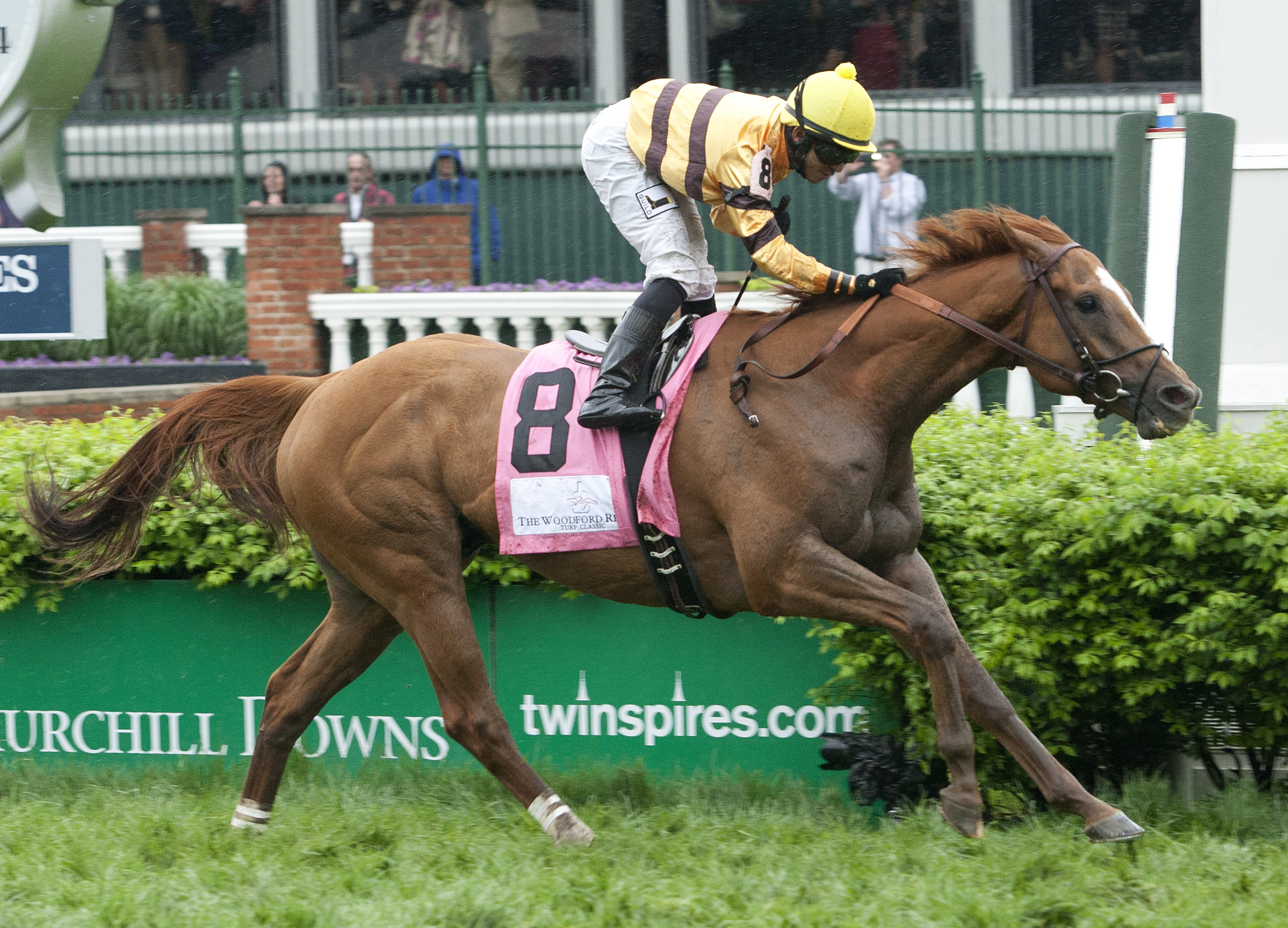 Wise Dan, Woodford Reserve Turf Classic