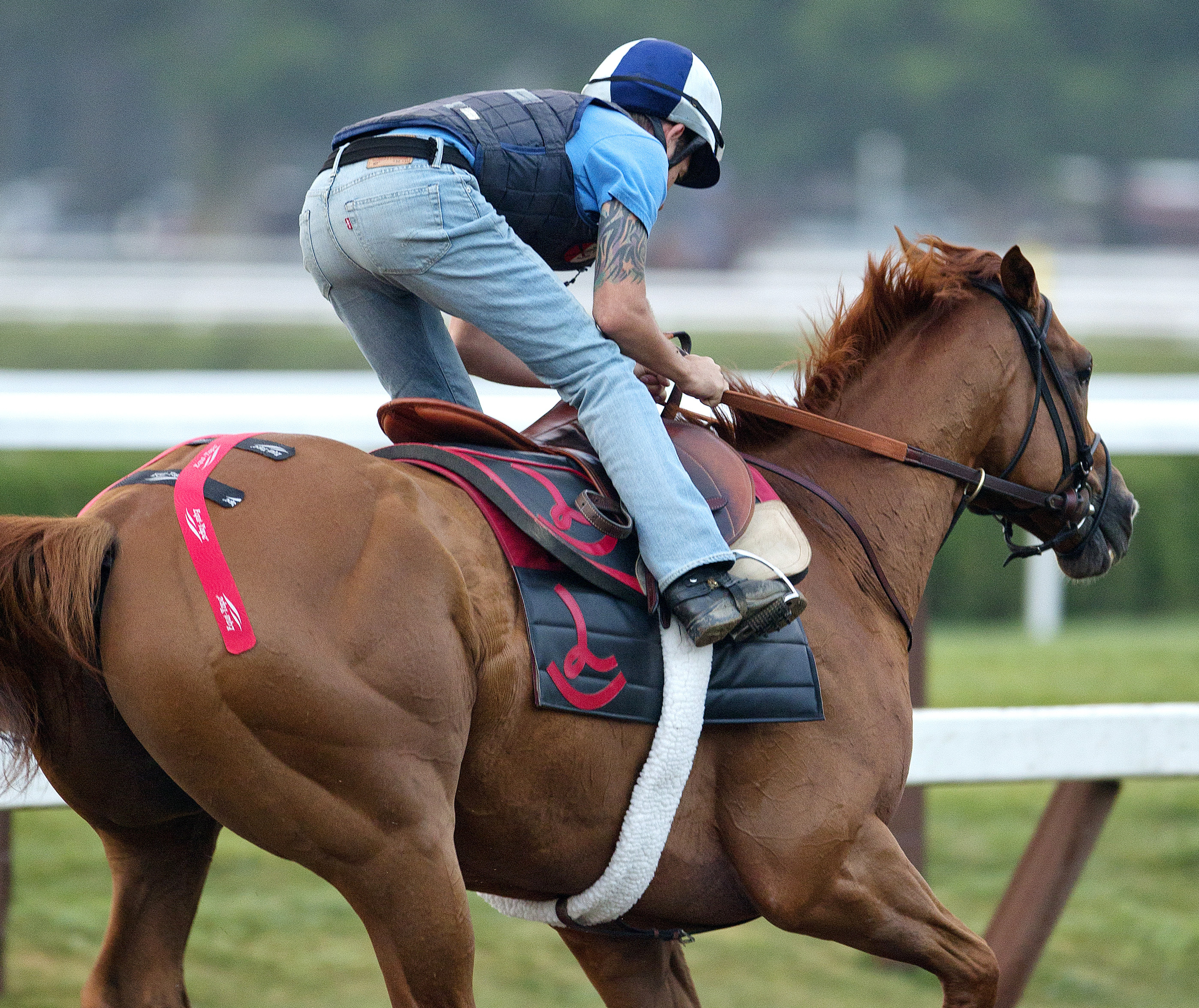 Wise Dan wearing tape