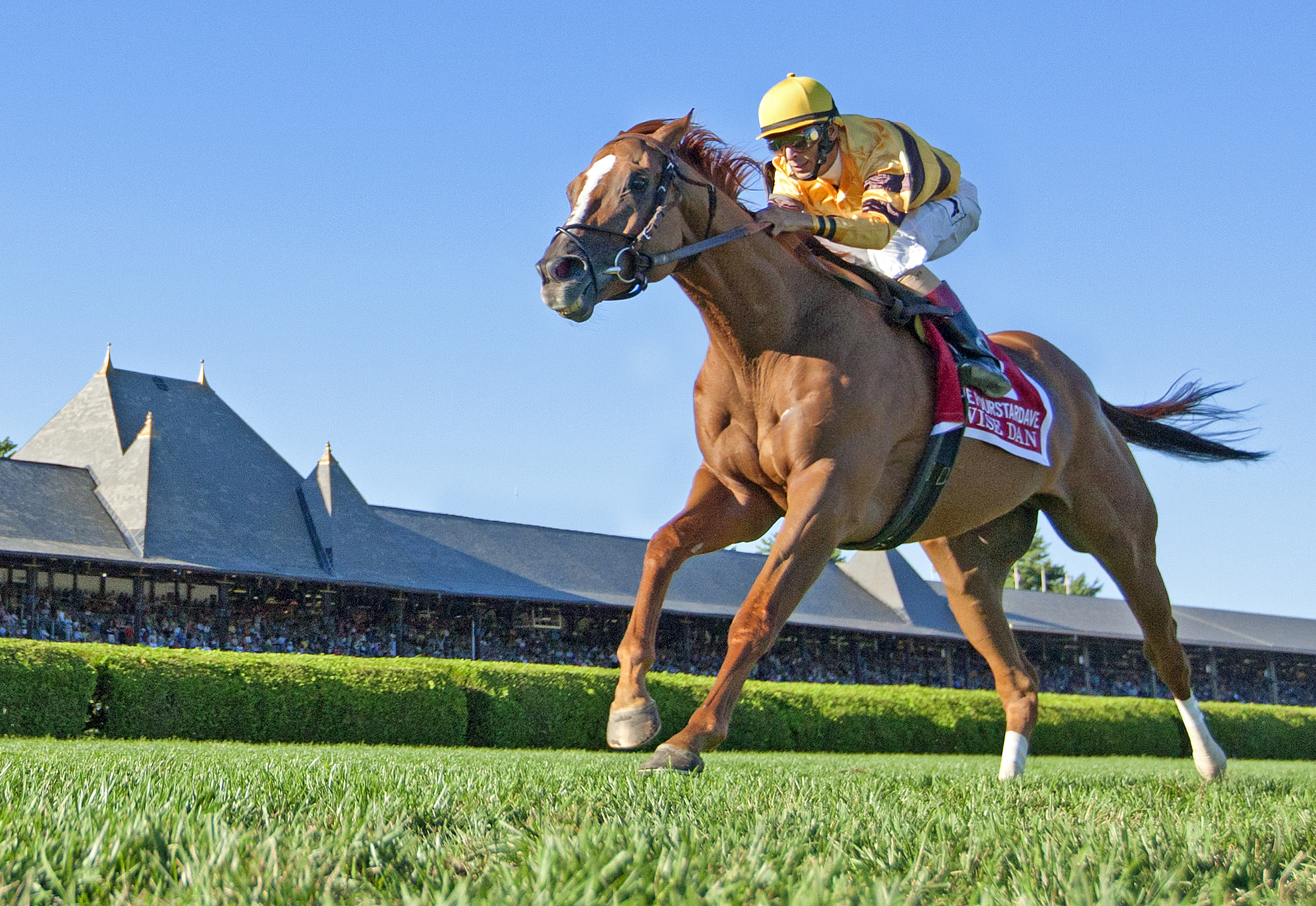 Wise Dan, Fourstardave Handicap