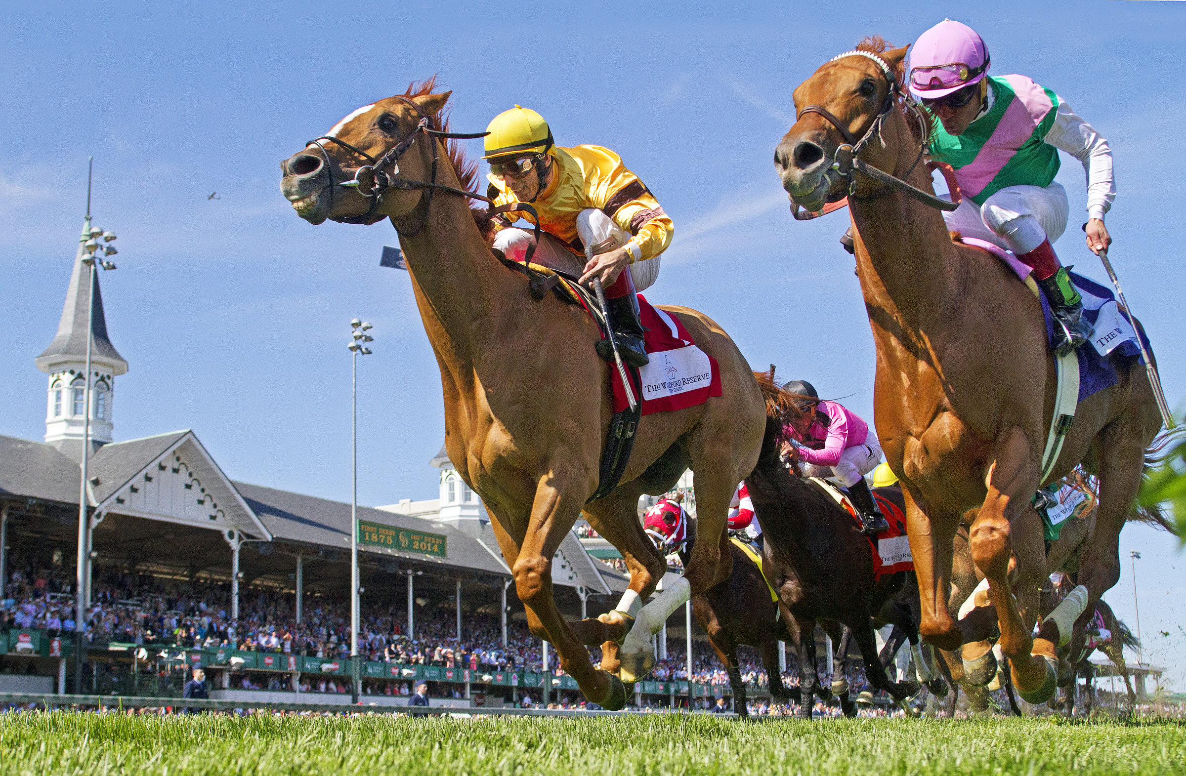 Wise Dan beats Seek Again in the Woodford Reserve