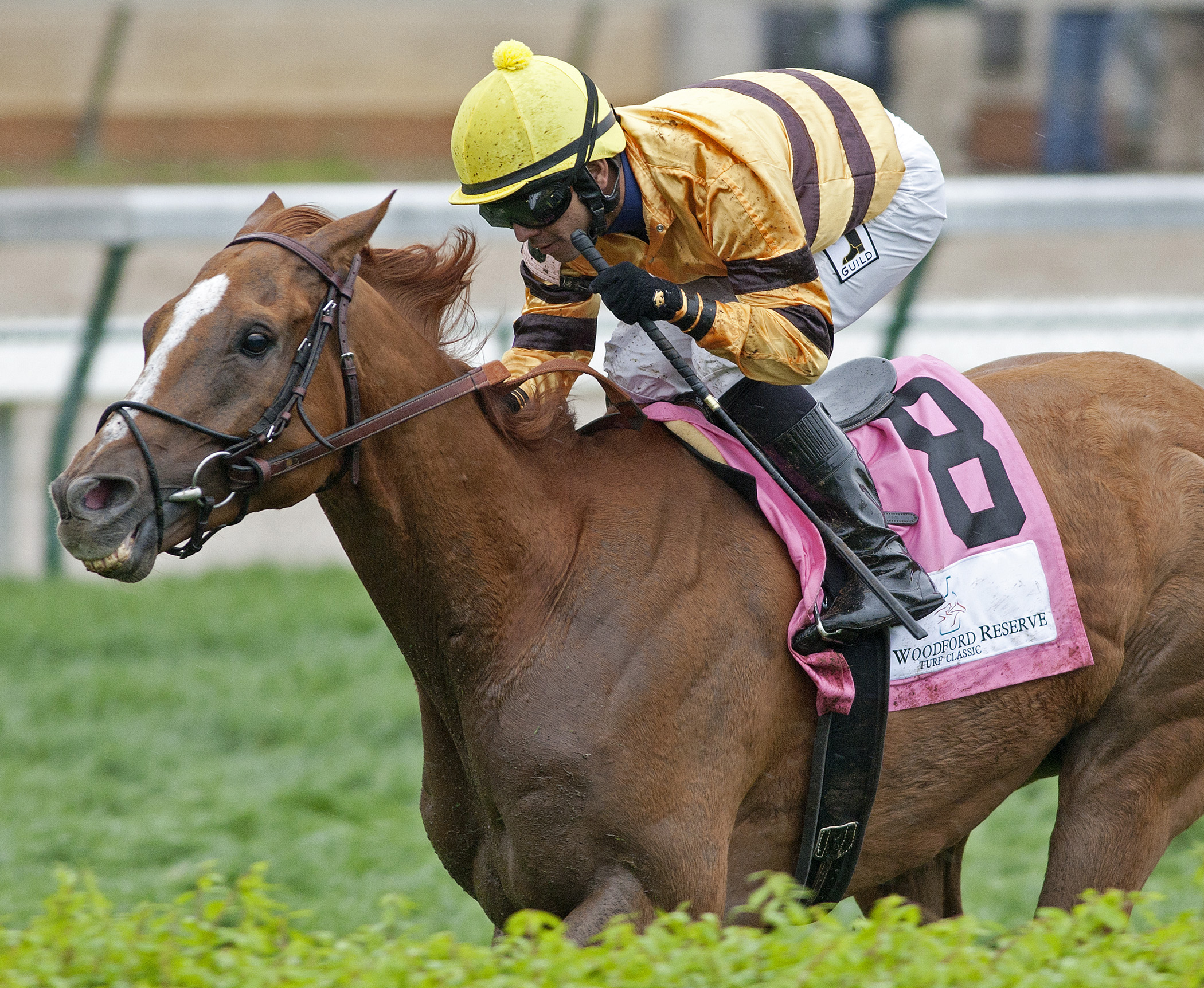 Wise Dan, Woodford Reserve Turf Classic