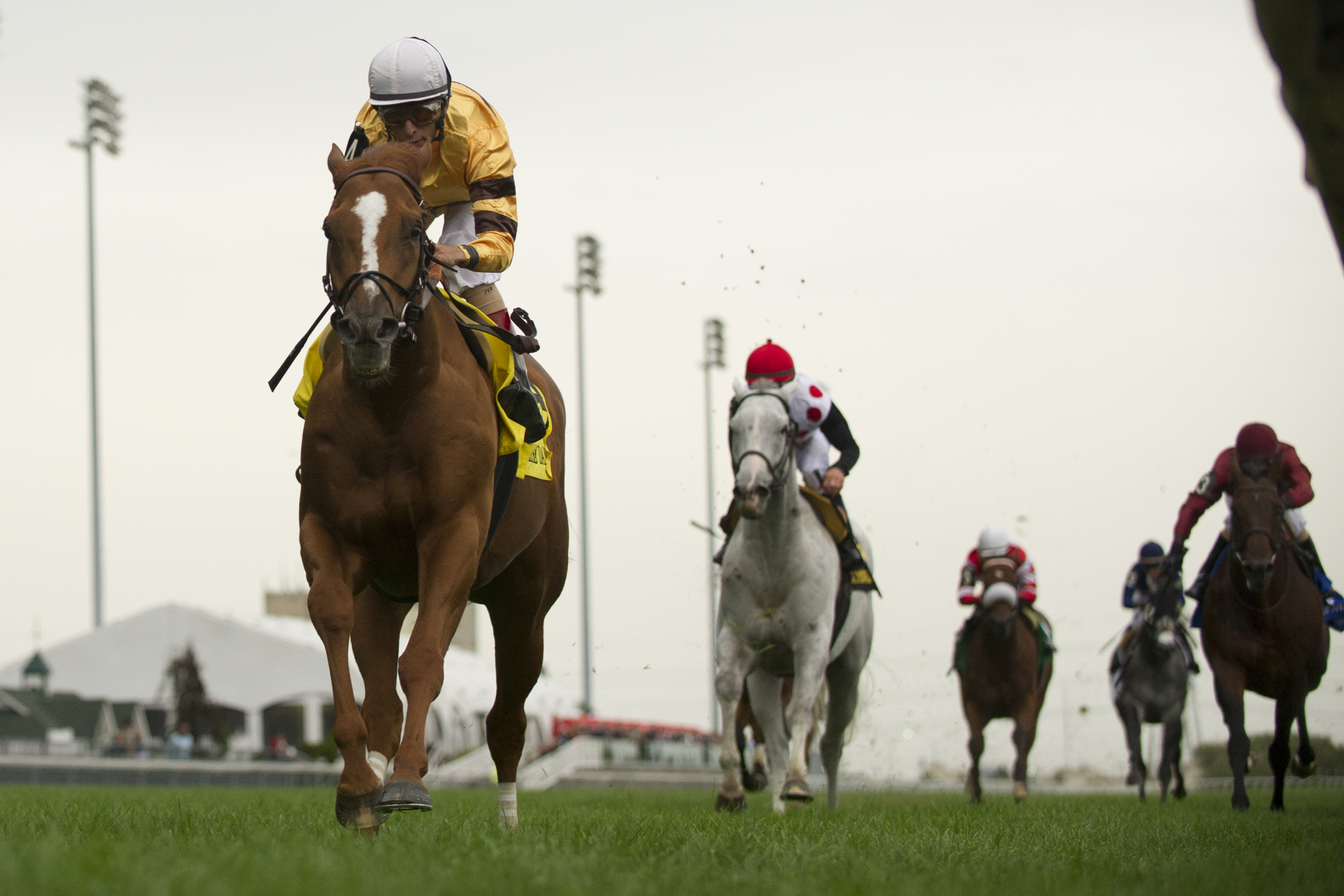 Wise Dan, Woodbine Mile