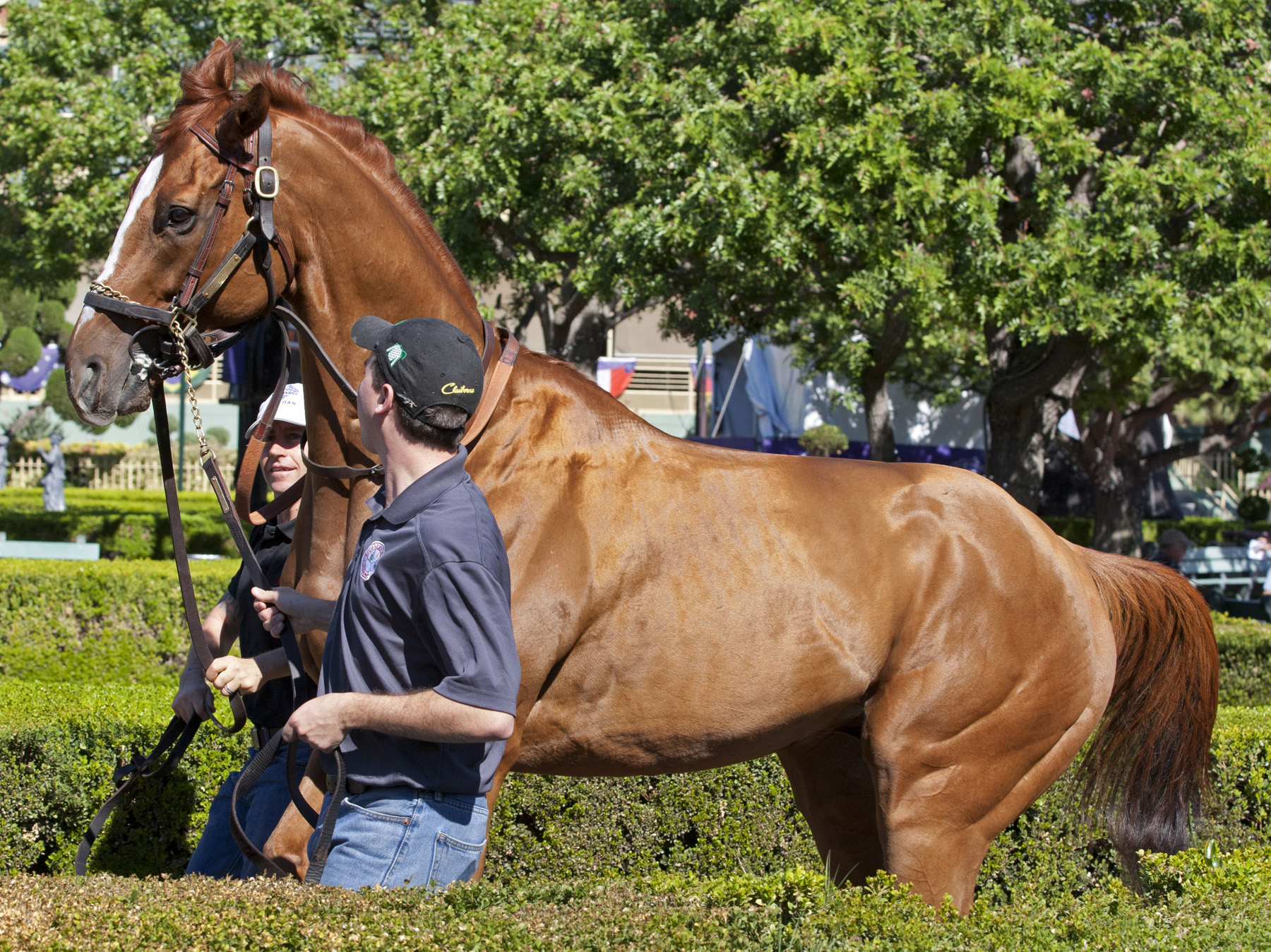 Wise Dan. Oct. 31, 2013