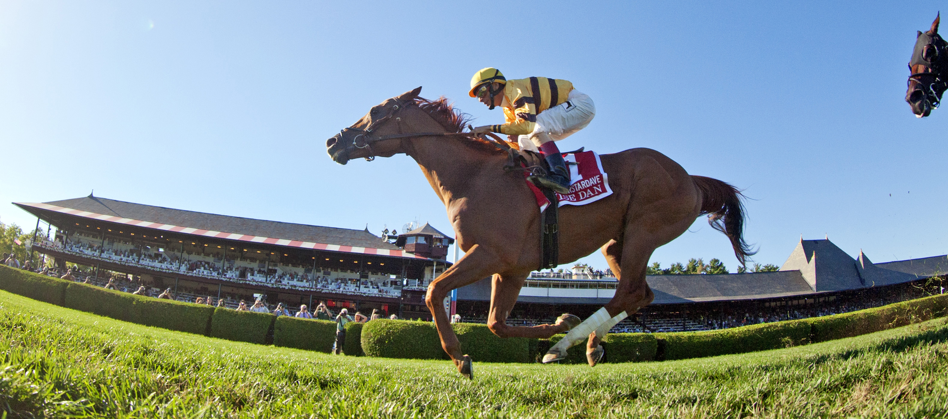 Wise Dan wins the Fourstardave