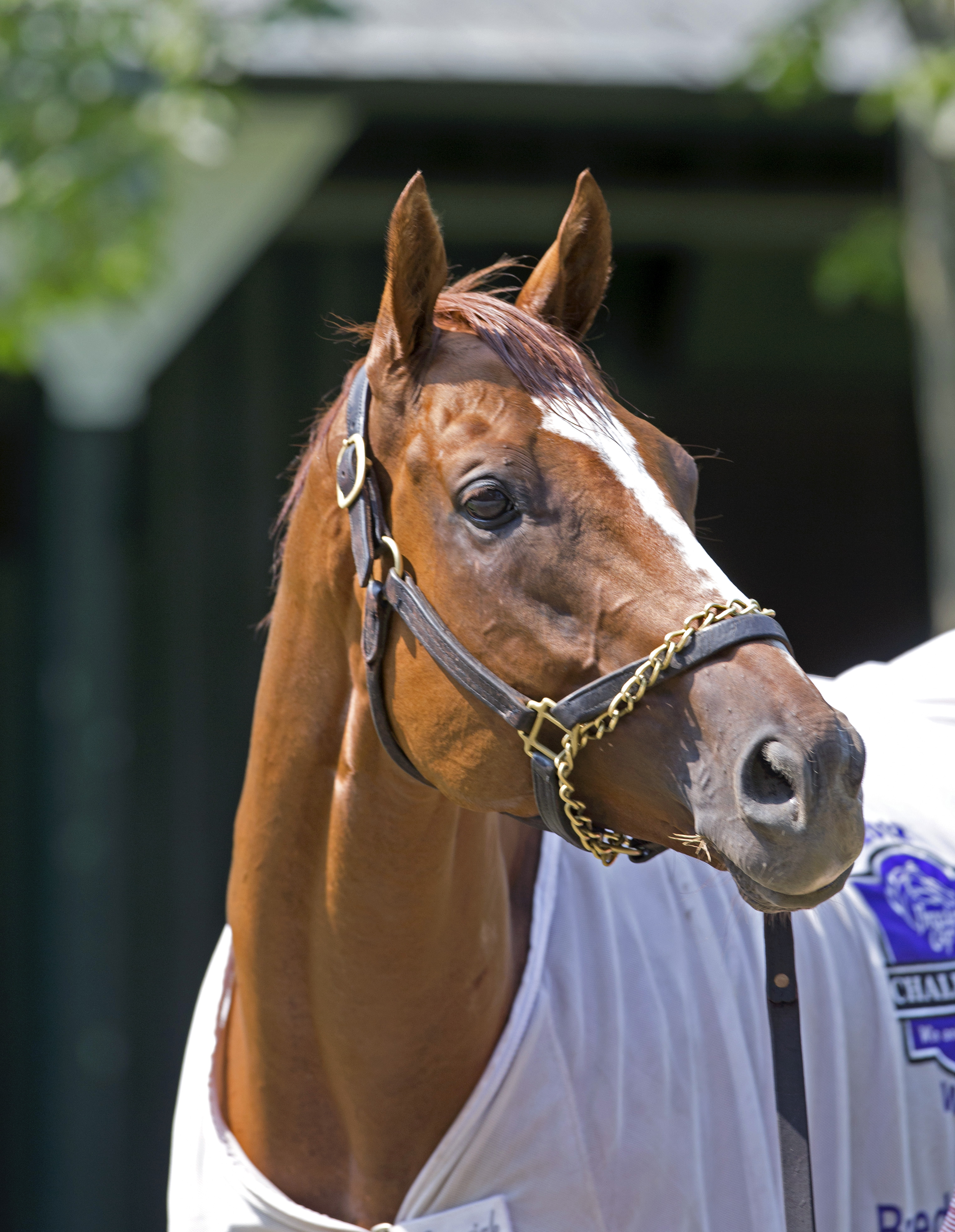 Wise Dan on July 25, 2014