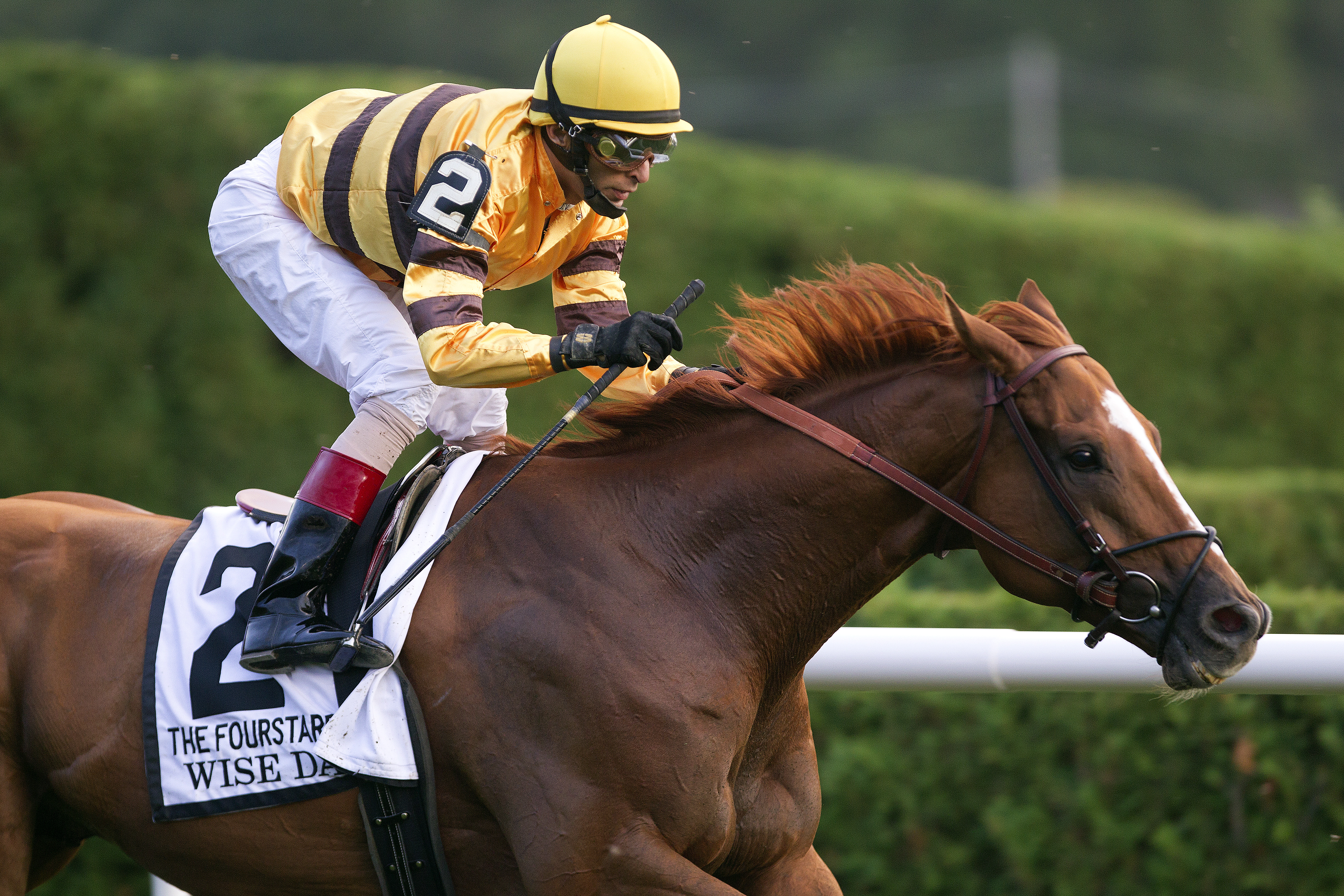 Wise Dan
