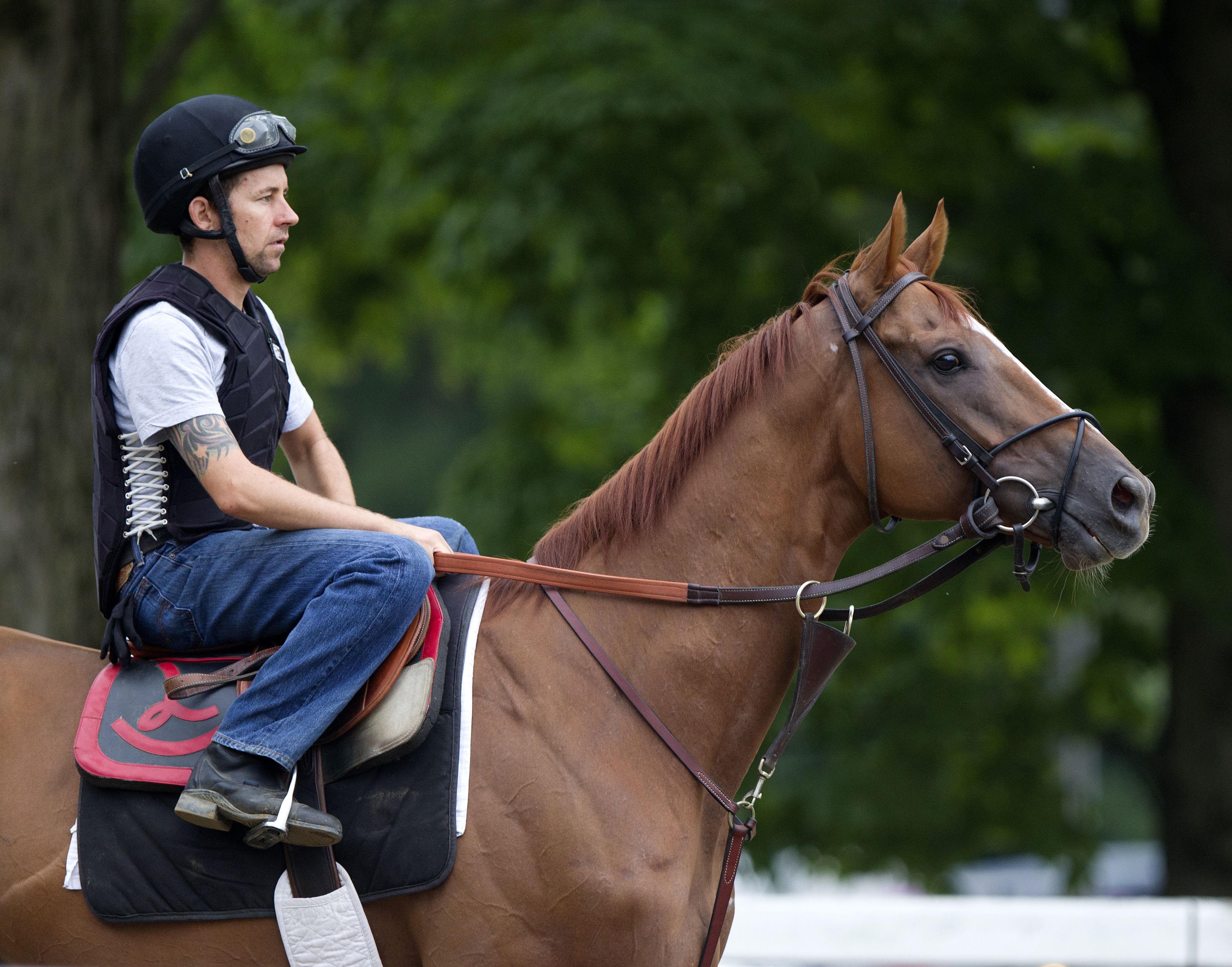 Wise Dan