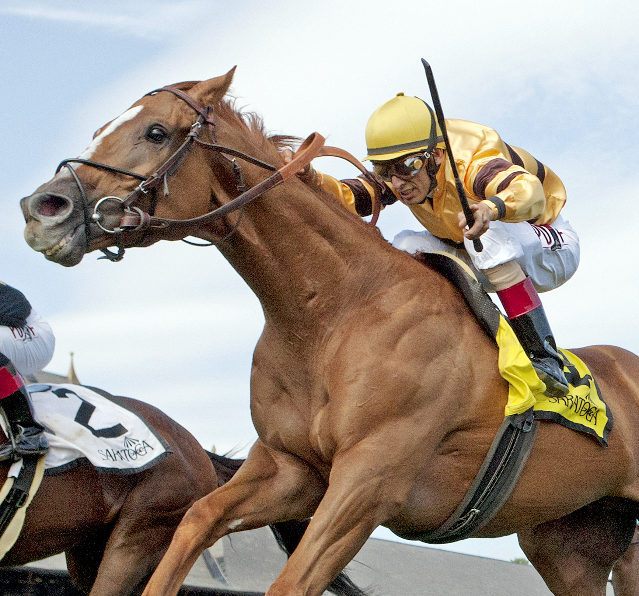 Wise Dan wins the Bernard Baruch