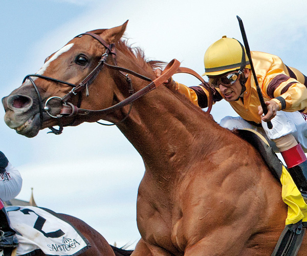 Wise Dan eclipse