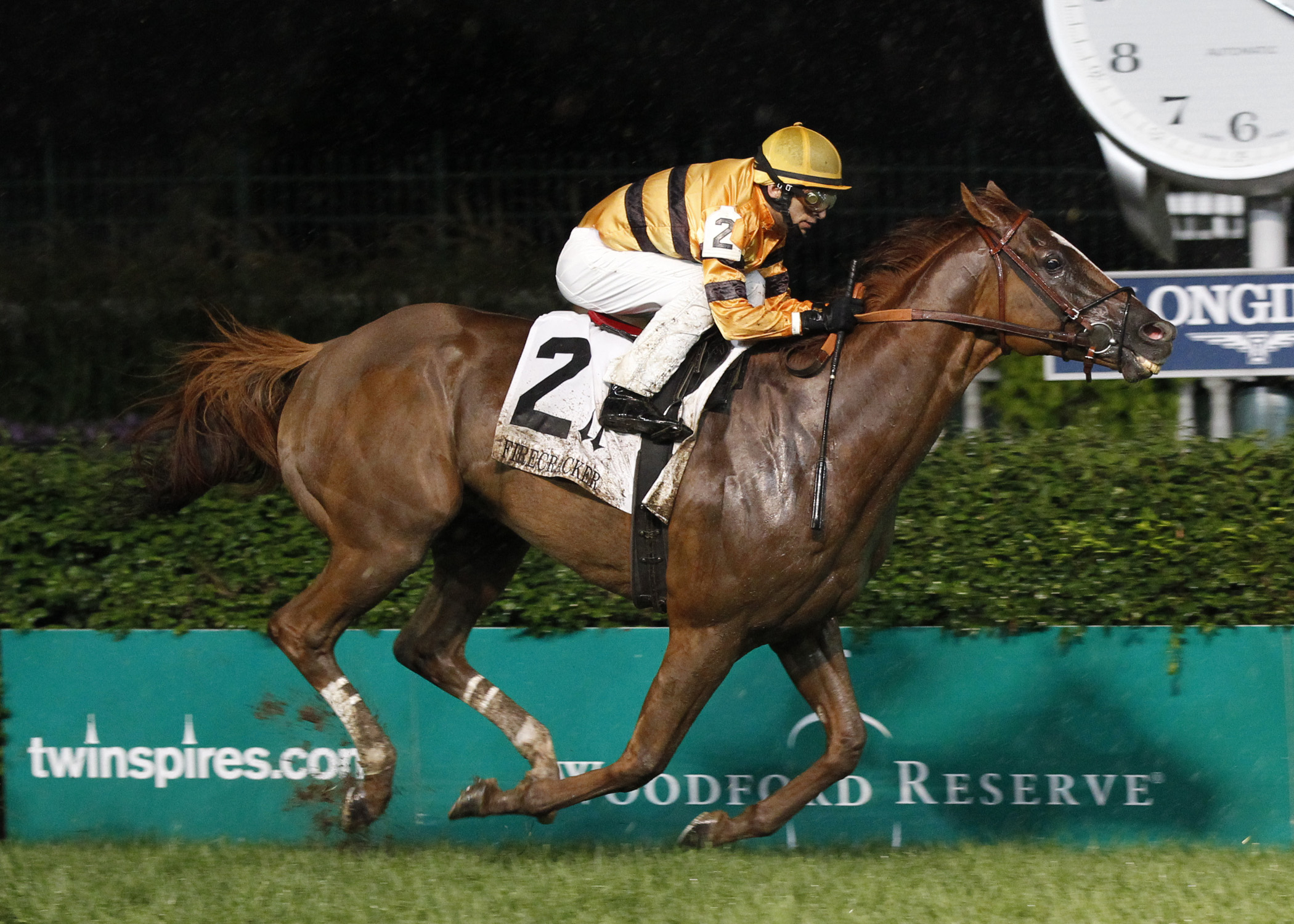 Wise Dan