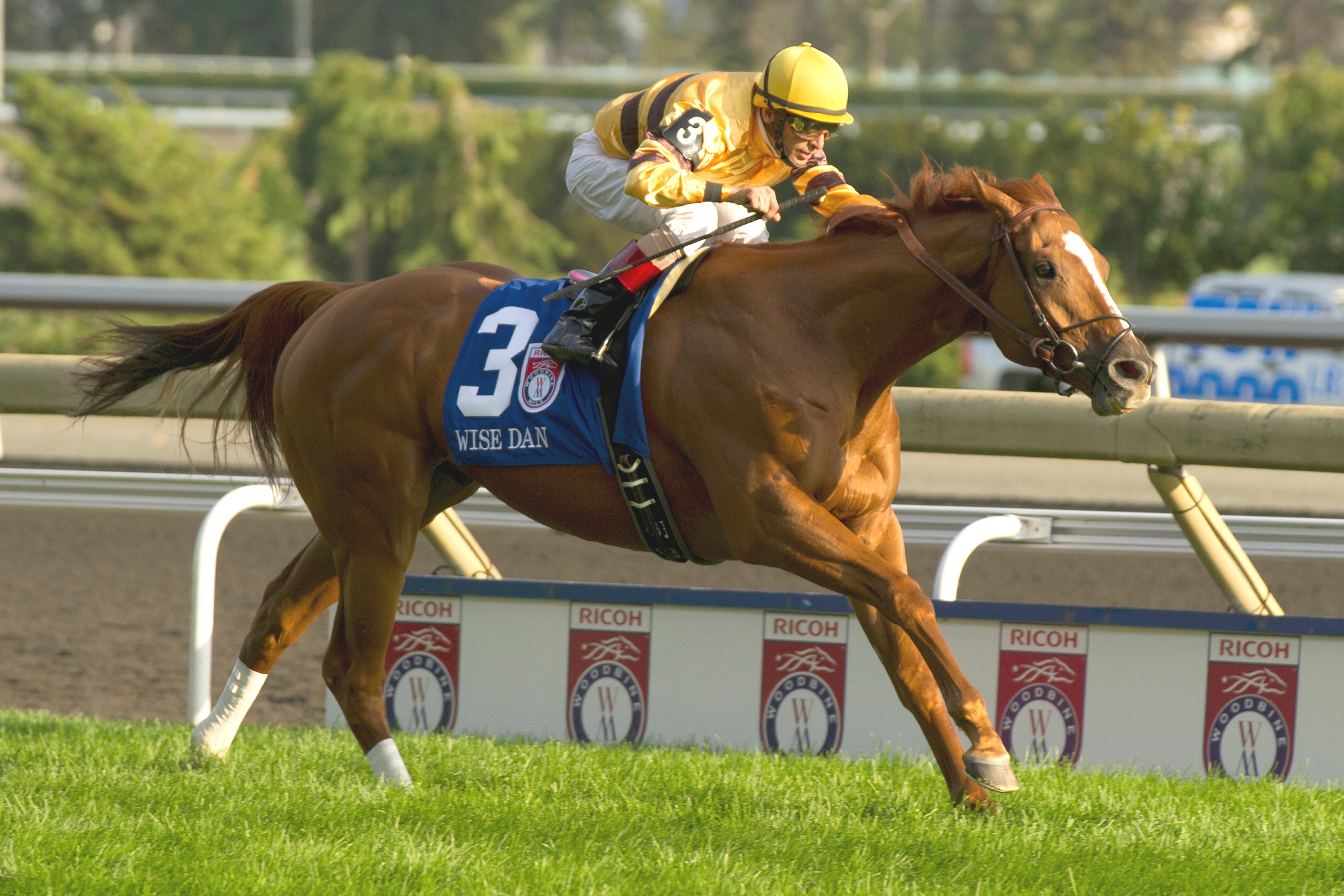Wise Dan, Woodbine Mile