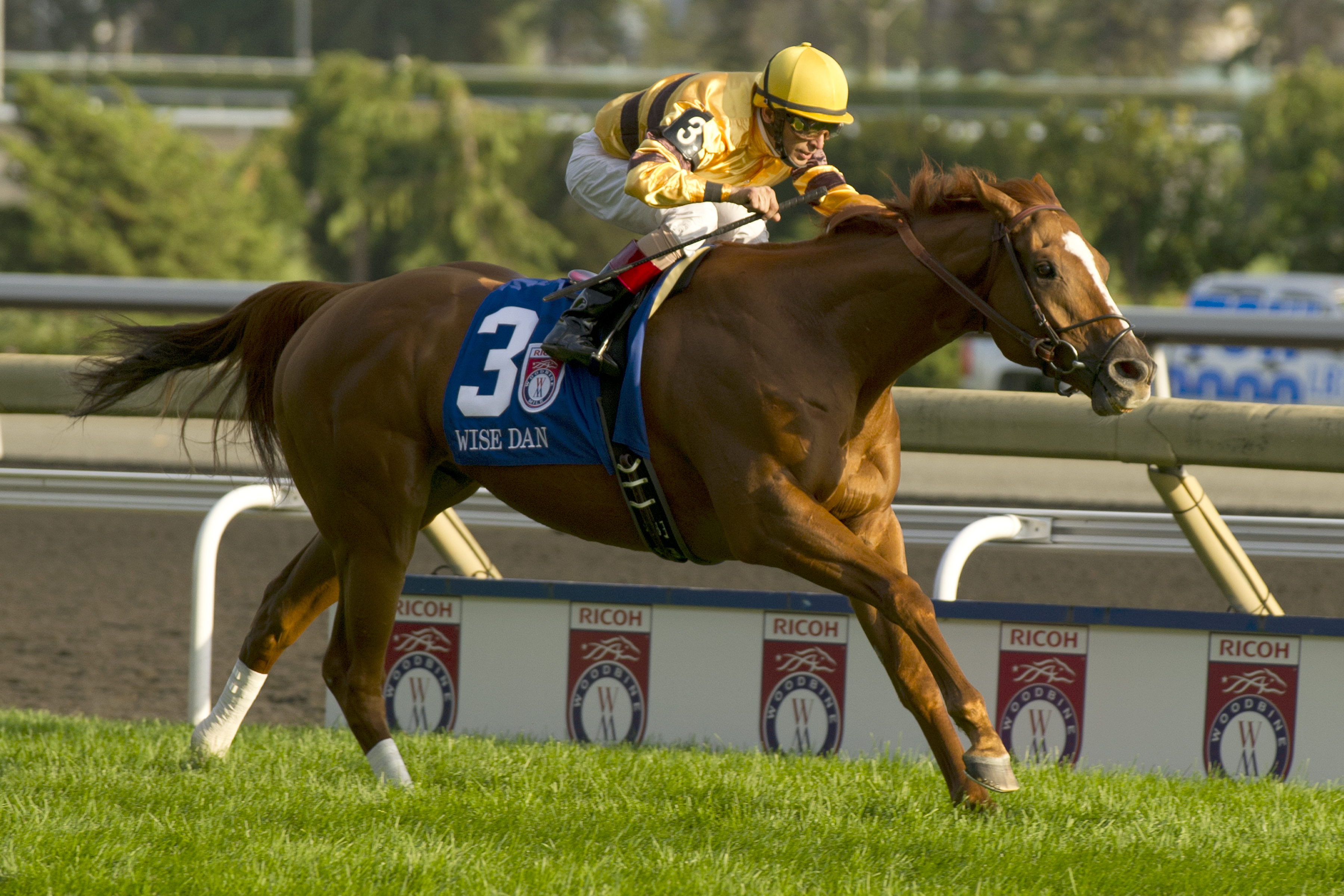 Wise Dan/Woodbine Mile