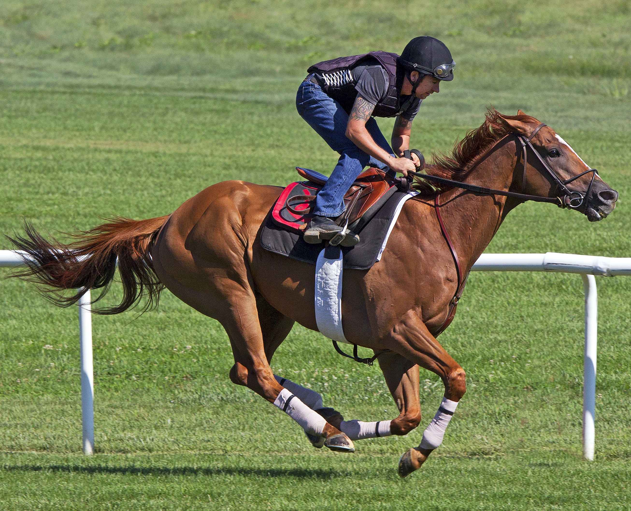 Wise Dan