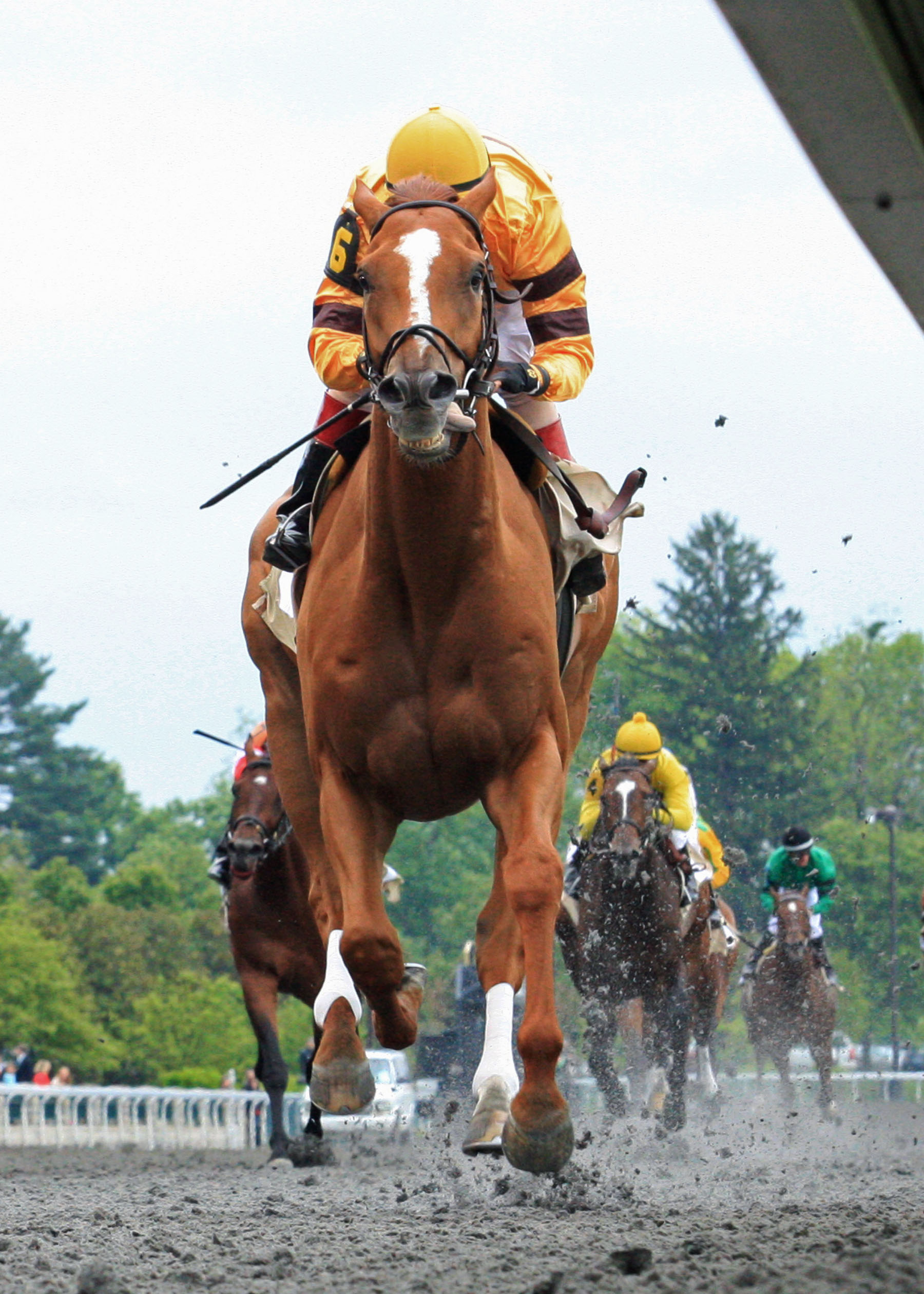 Wise Dan 4-22-2012