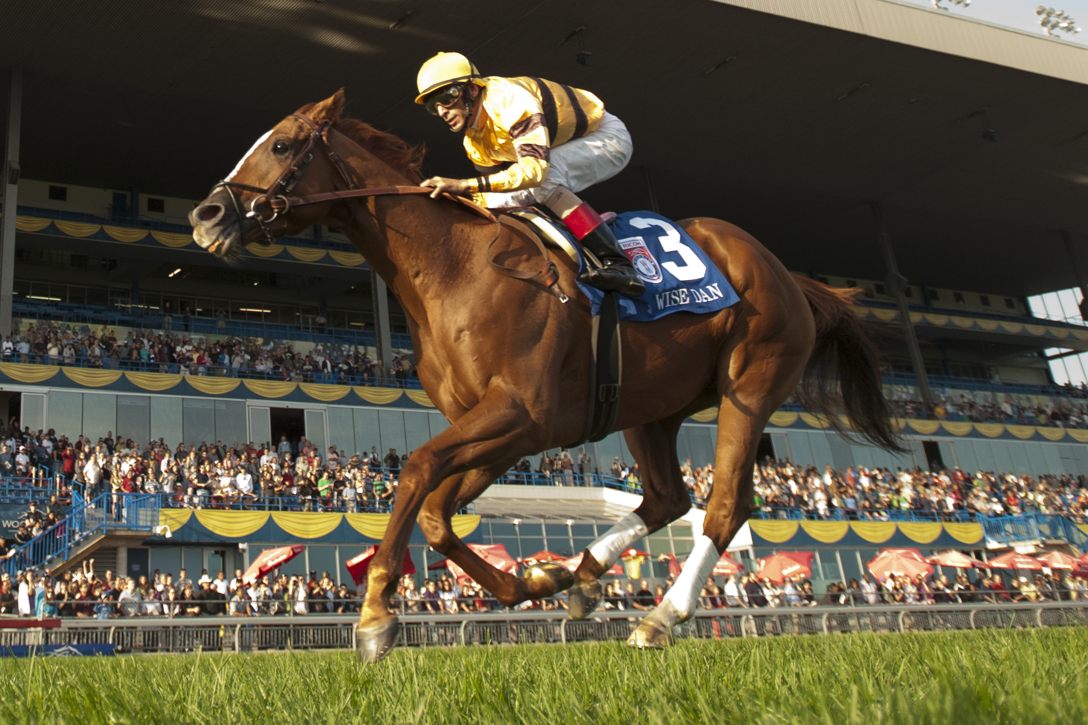 Wise Dan 9-16-2012
