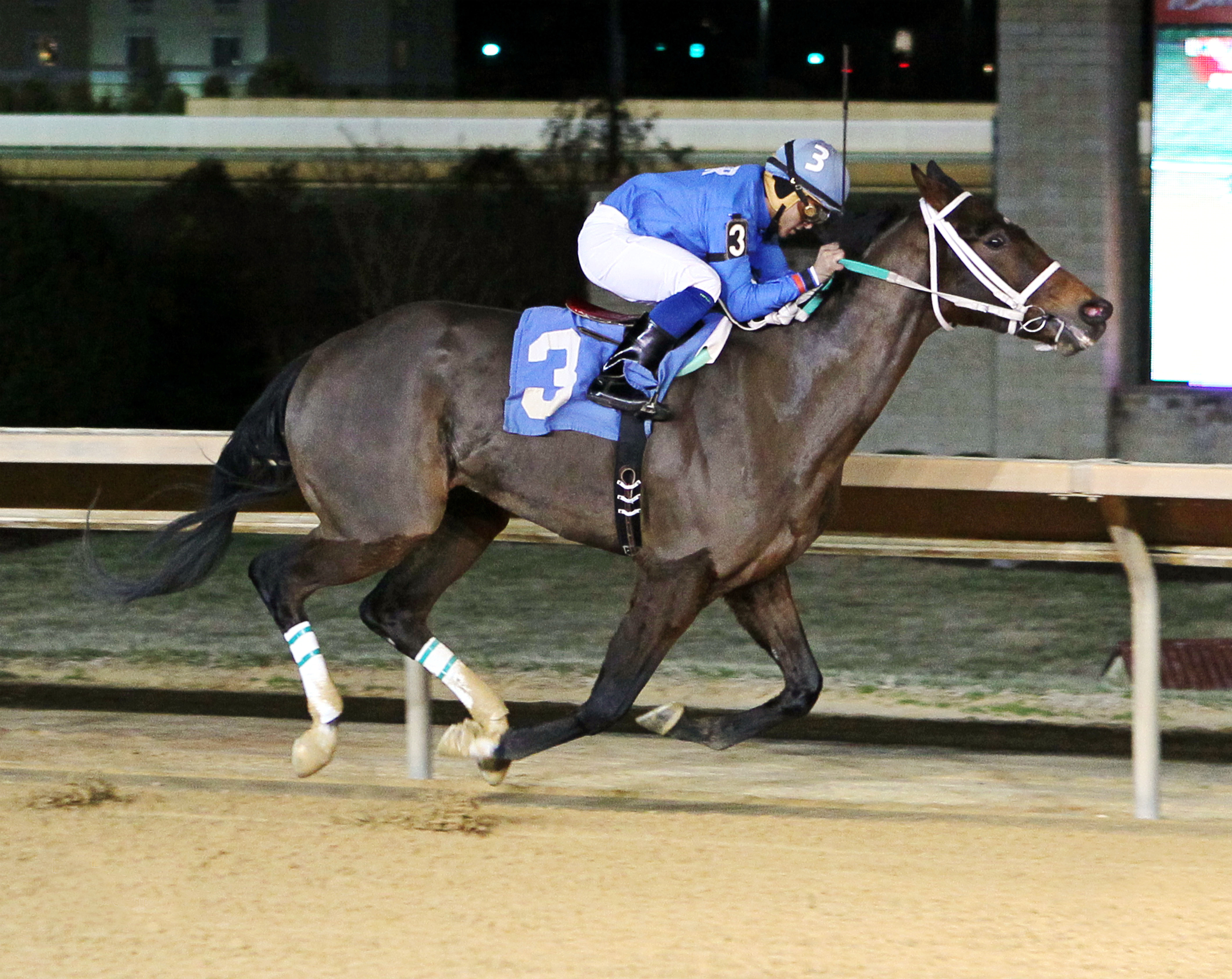 Wise Mac wins an allowance race